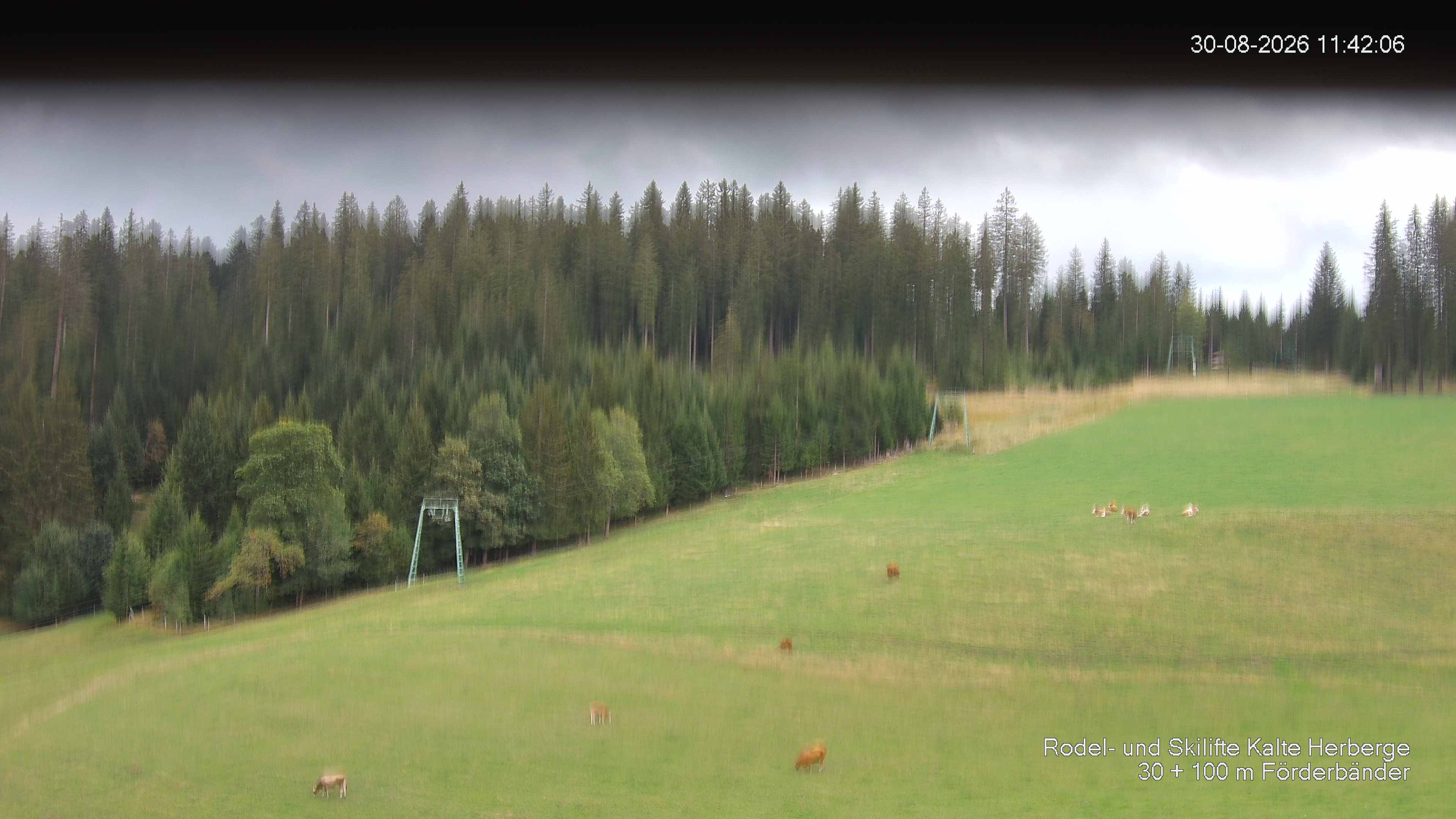 Archiv Foto Webcam Skipiste Kalte Herberge