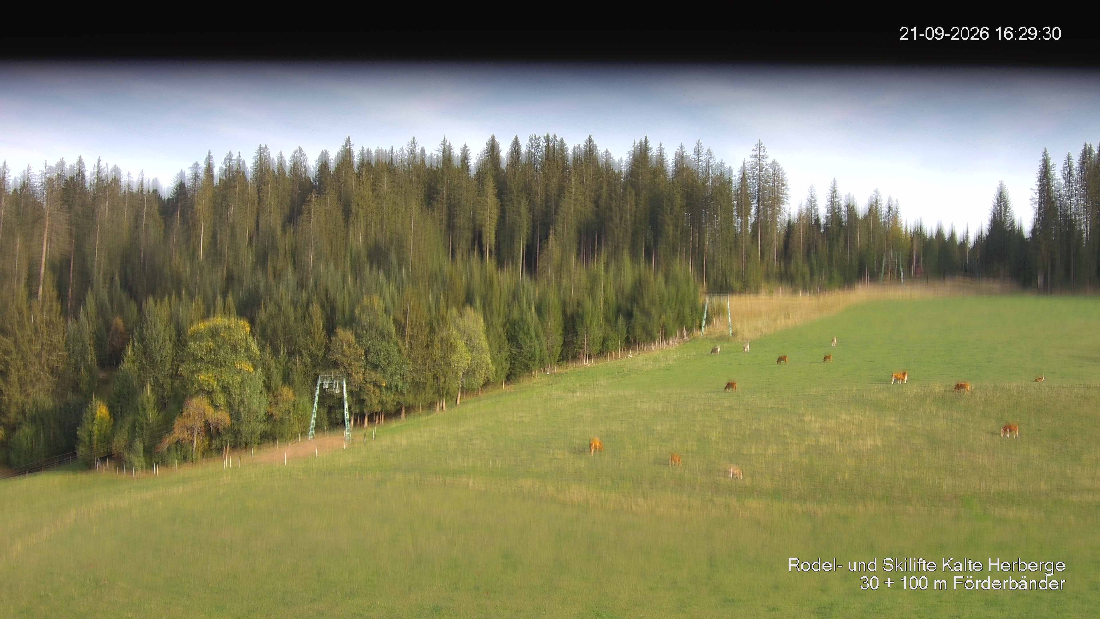 Archiv Foto Webcam Skipiste Kalte Herberge