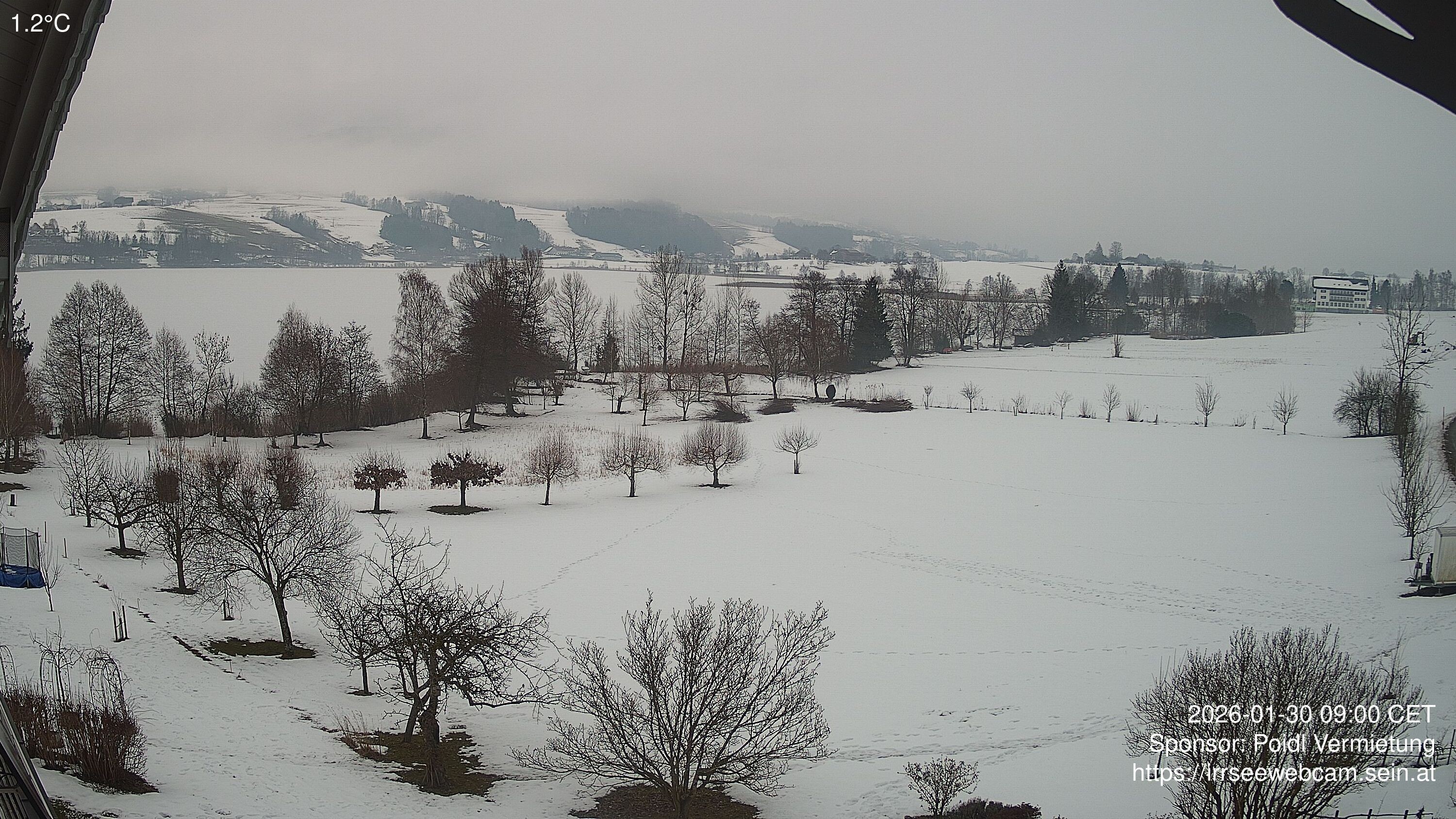 Archiv Foto Irrsee Oberösterreich: Webcam Westufer