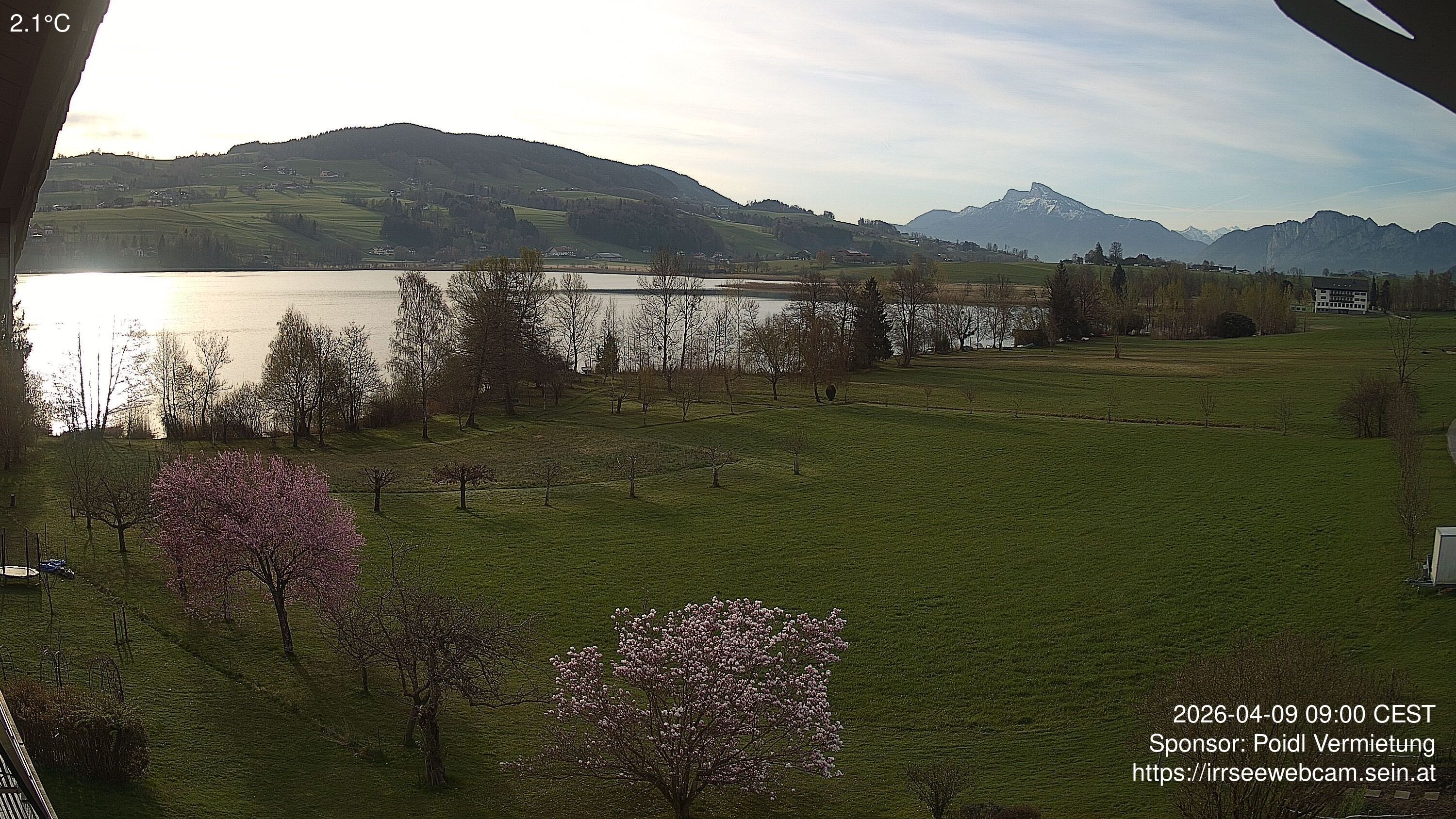 Archiv Foto Irrsee Oberösterreich: Webcam Westufer