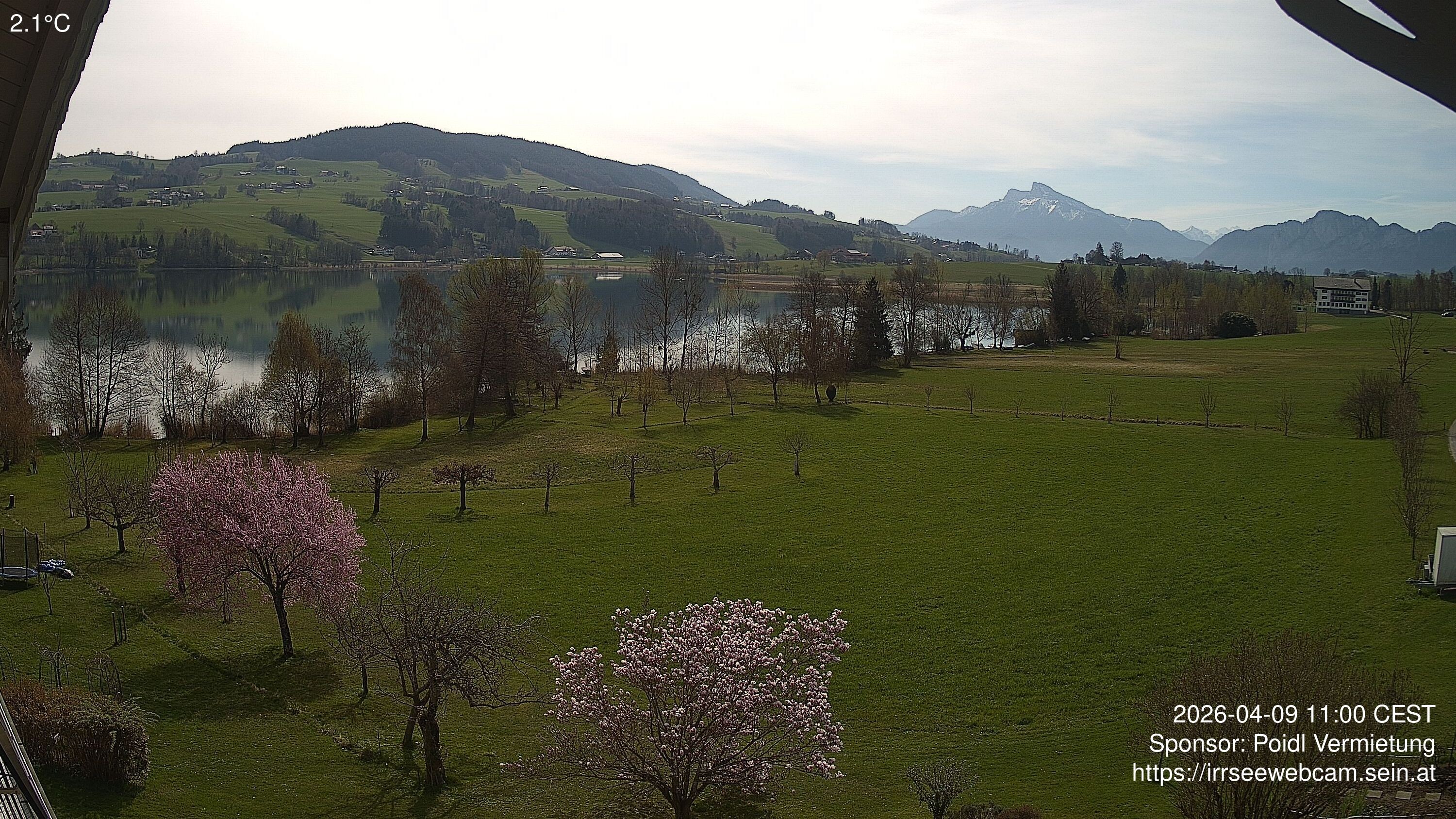 Archiv Foto Irrsee Oberösterreich: Webcam Westufer