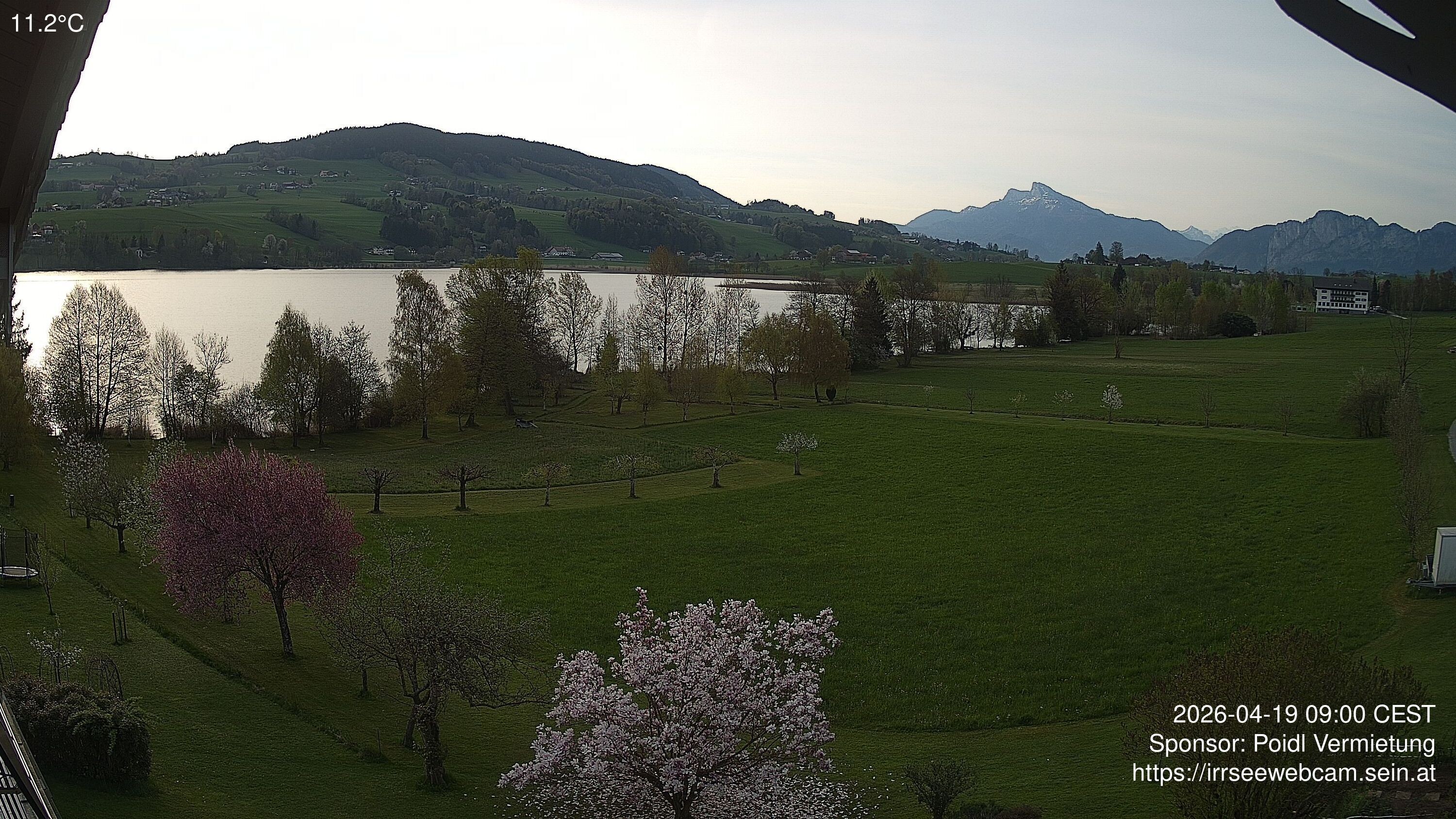 Archiv Foto Irrsee Oberösterreich: Webcam Westufer