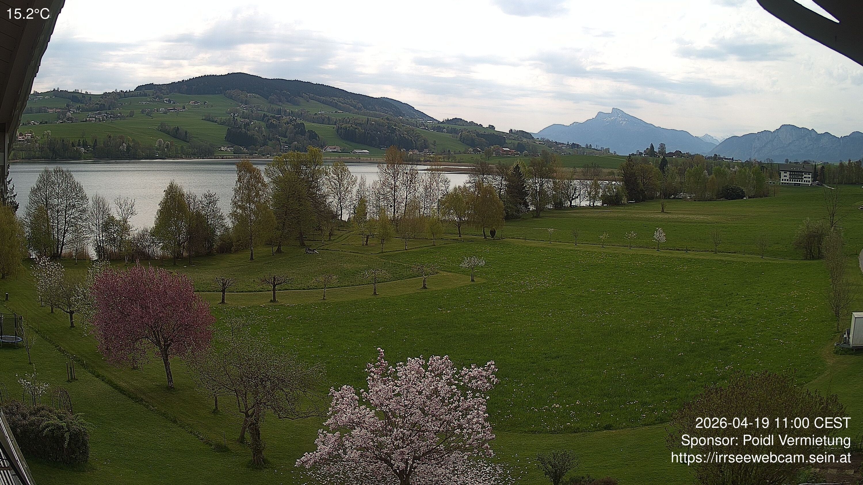 Archiv Foto Irrsee Oberösterreich: Webcam Westufer