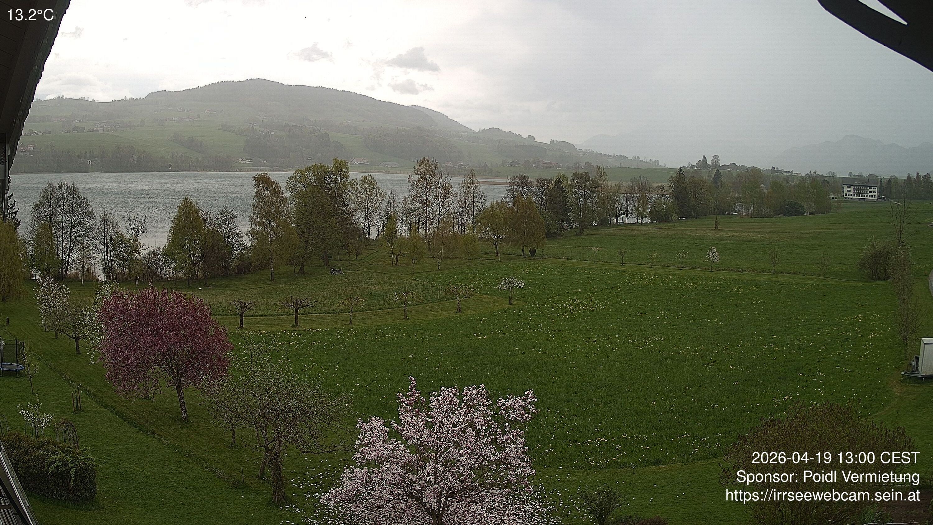 Archiv Foto Irrsee Oberösterreich: Webcam Westufer