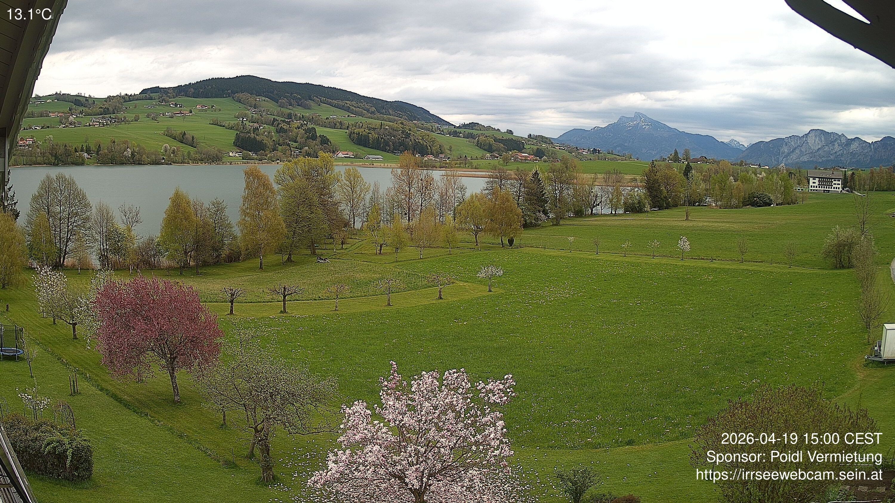 Archiv Foto Irrsee Oberösterreich: Webcam Westufer