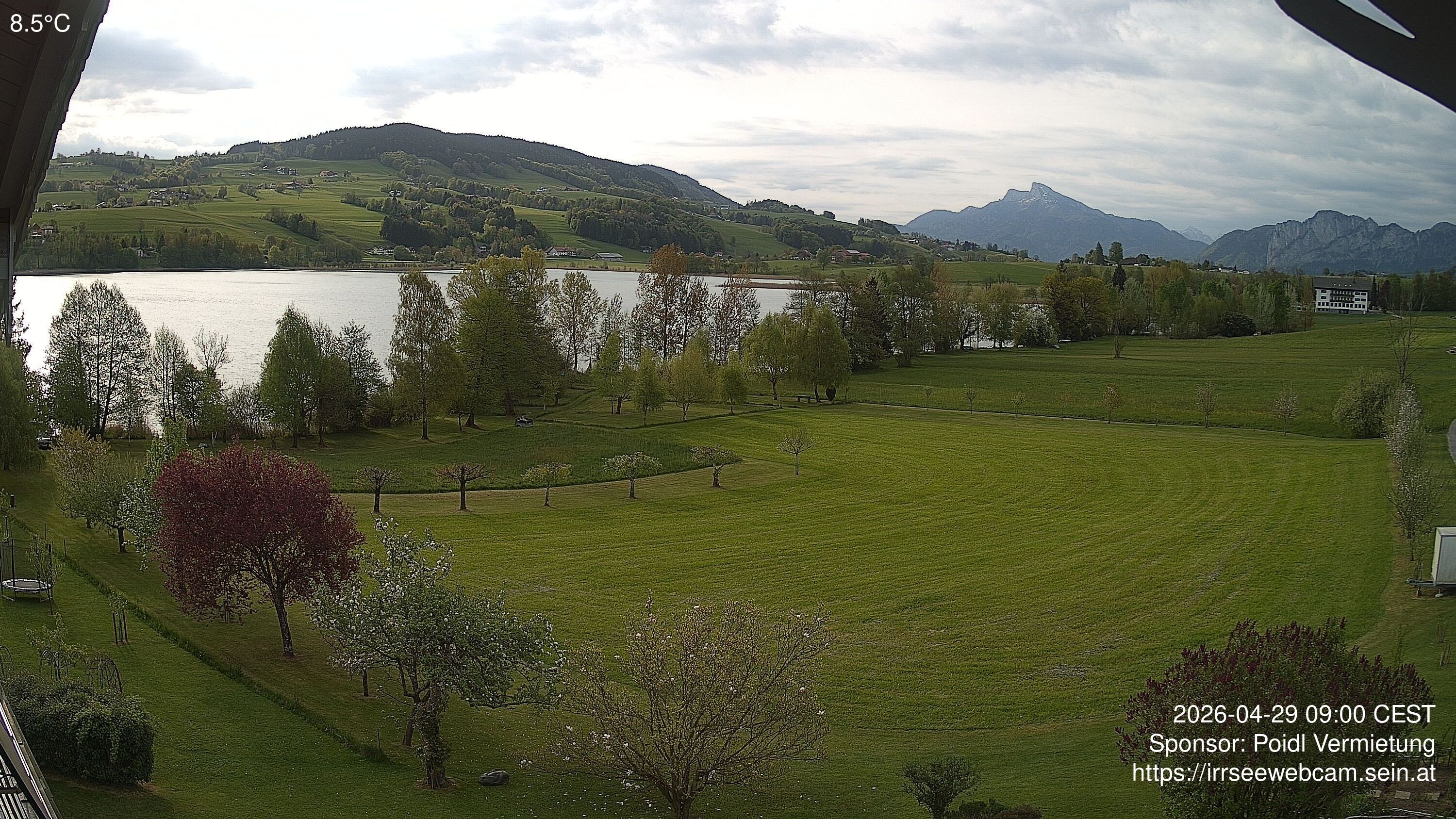 Archiv Foto Irrsee Oberösterreich: Webcam Westufer