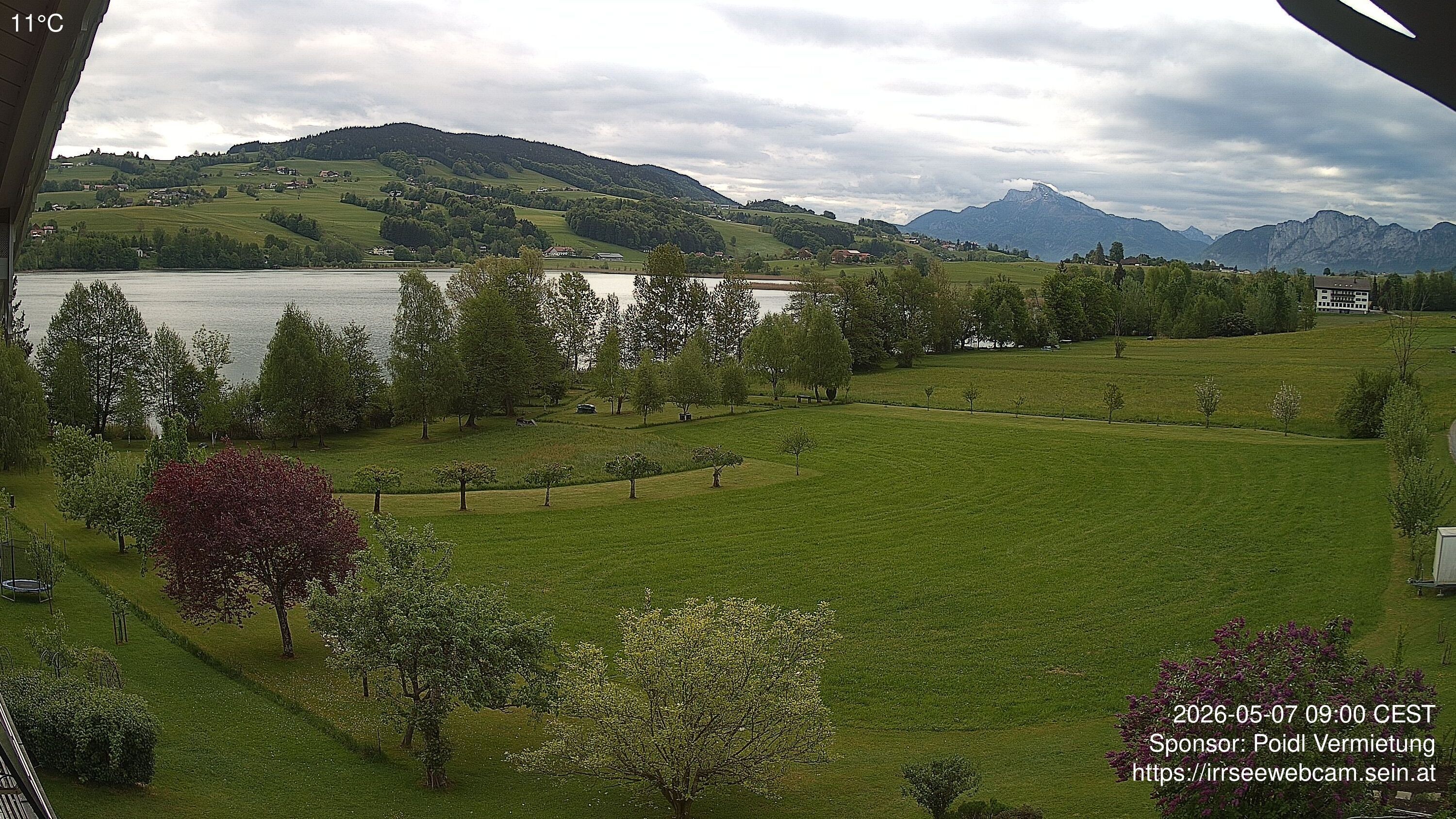Archiv Foto Irrsee Oberösterreich: Webcam Westufer