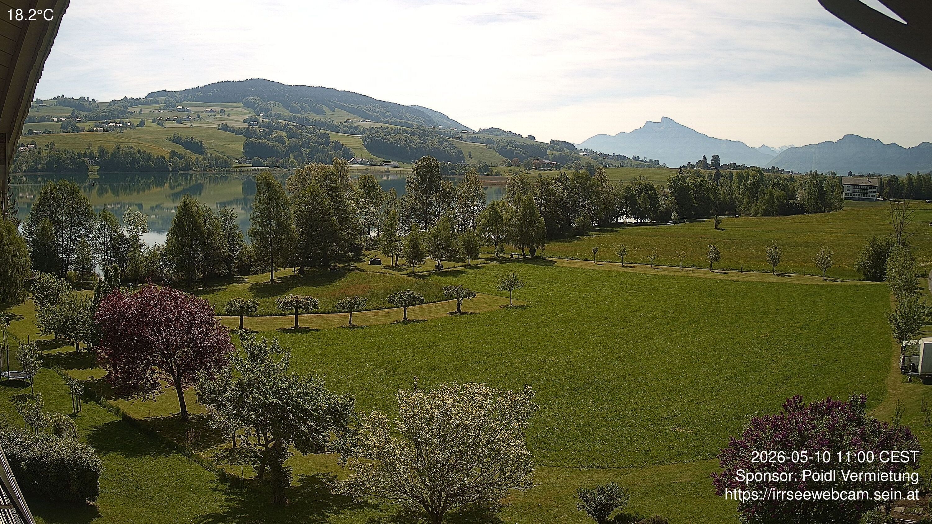 Archiv Foto Irrsee Oberösterreich: Webcam Westufer