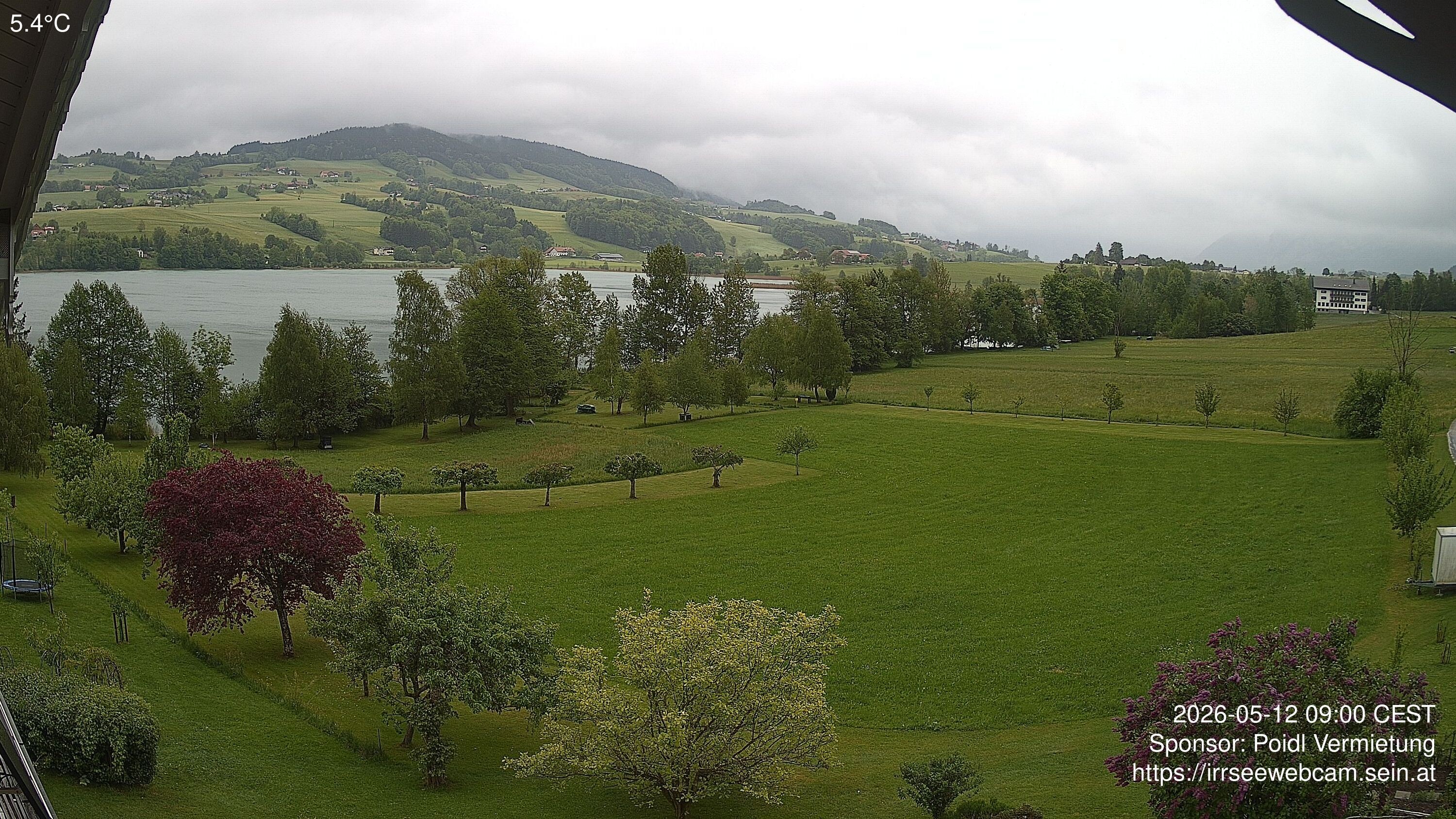 Archiv Foto Irrsee Oberösterreich: Webcam Westufer