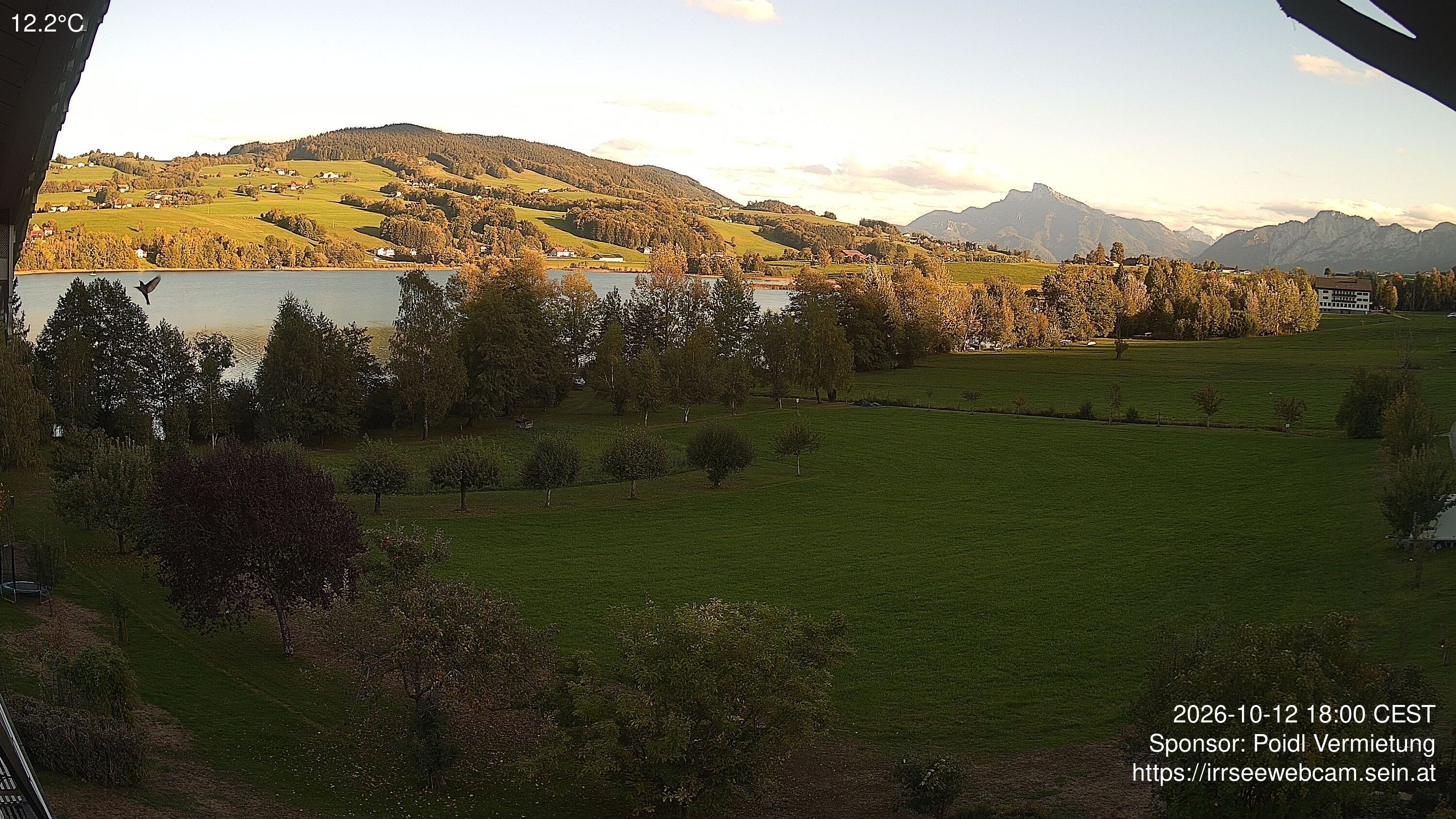 Archiv Foto Irrsee Oberösterreich: Webcam Westufer