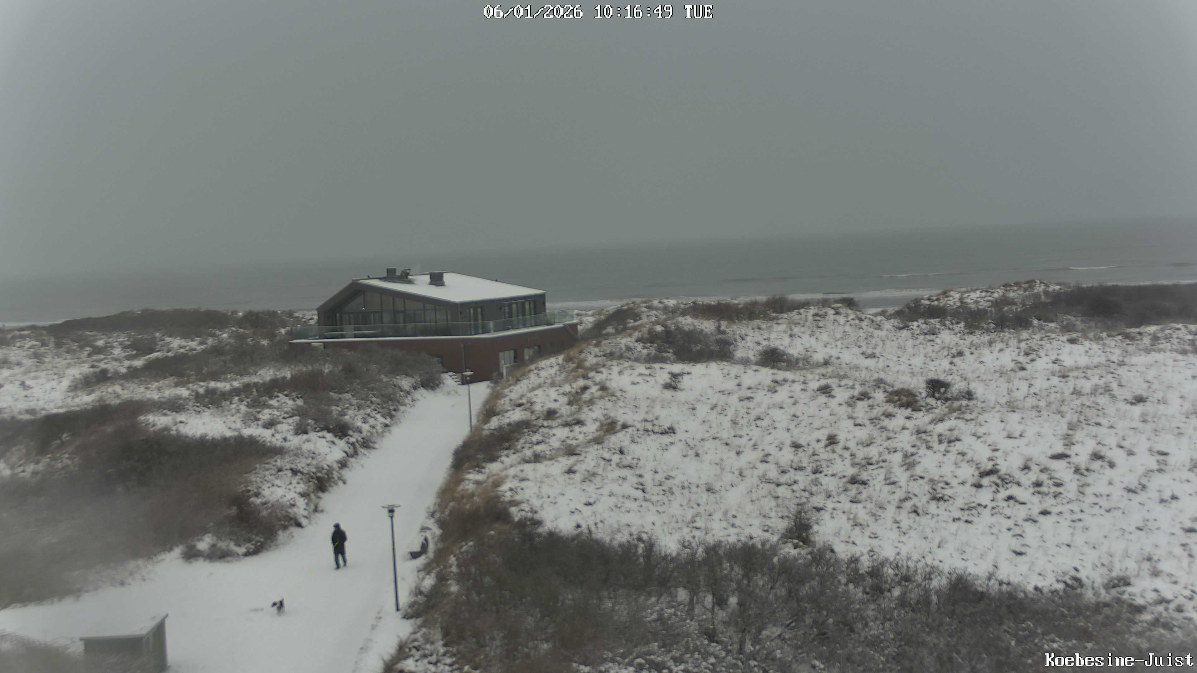 Archiv Foto Webcam Haus Köbesine auf Juist: Blick zum Strand