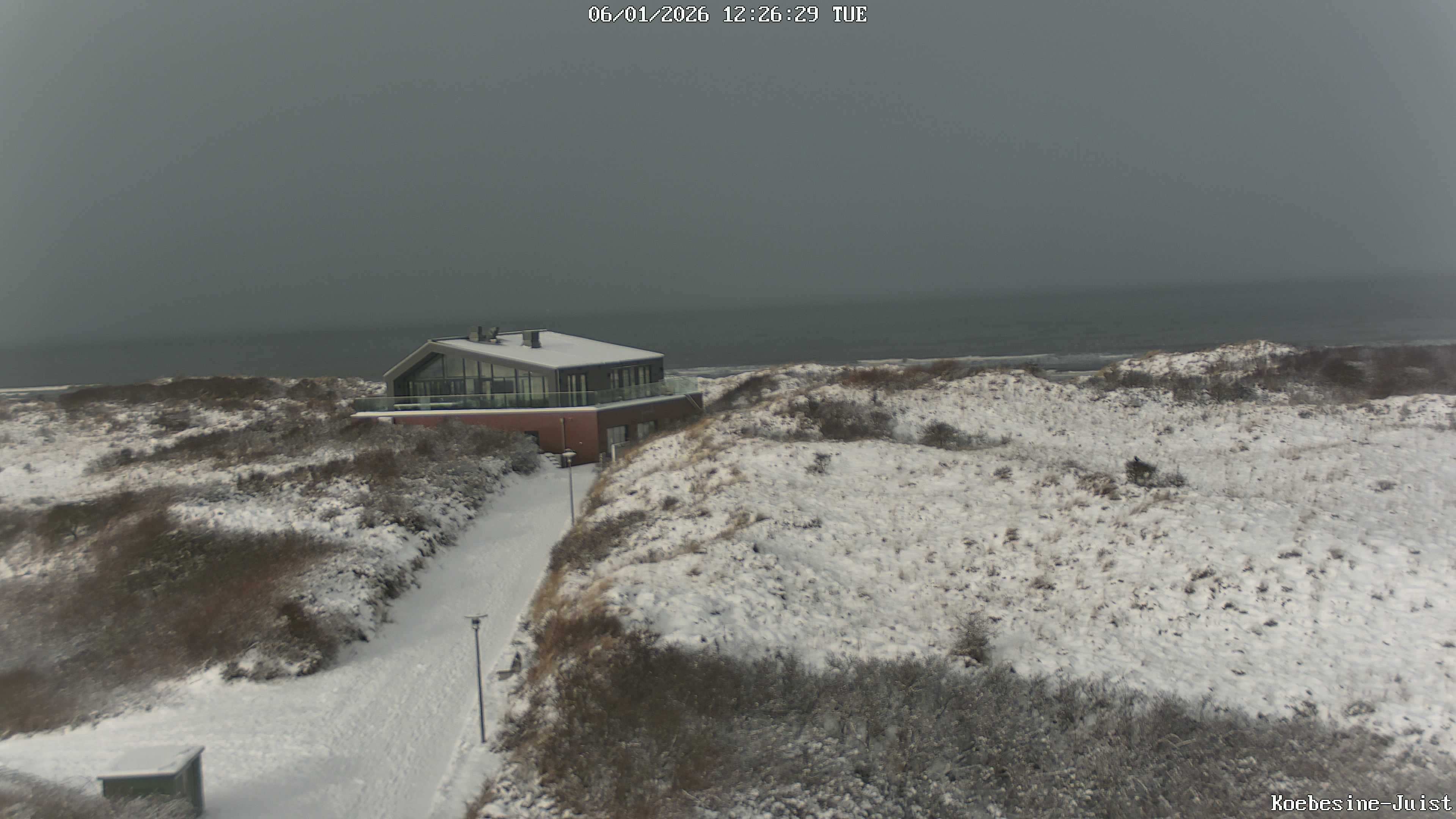 Archiv Foto Webcam Haus Köbesine auf Juist: Blick zum Strand