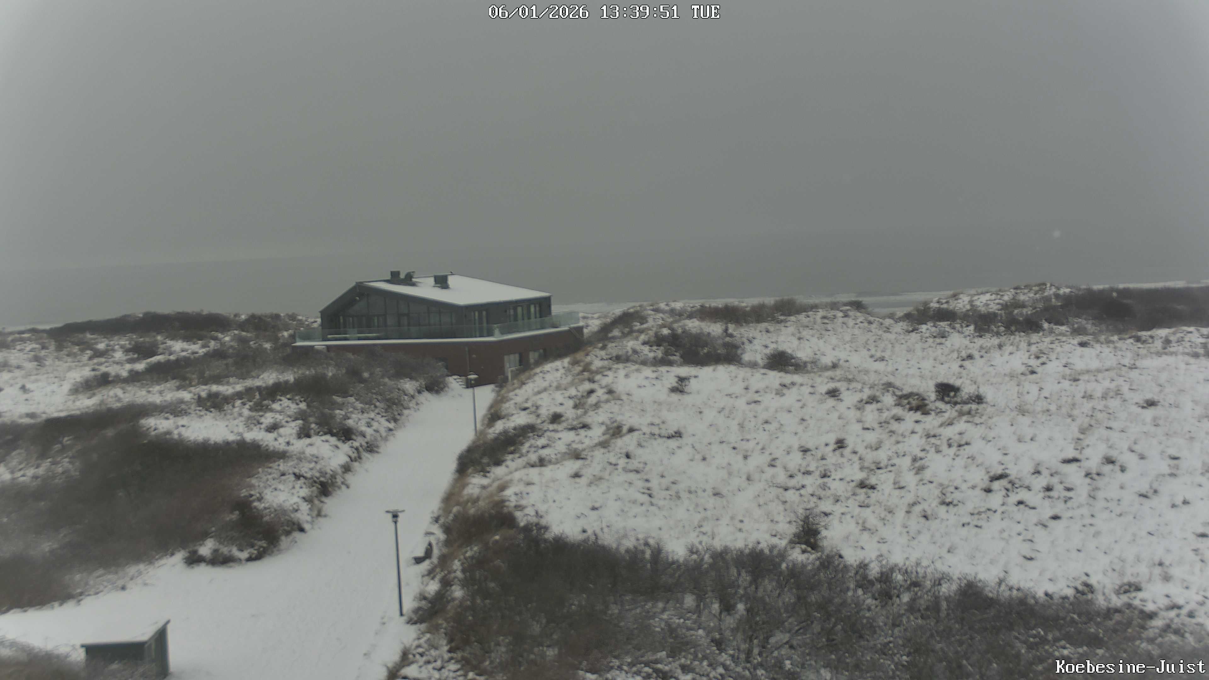Archiv Foto Webcam Haus Köbesine auf Juist: Blick zum Strand