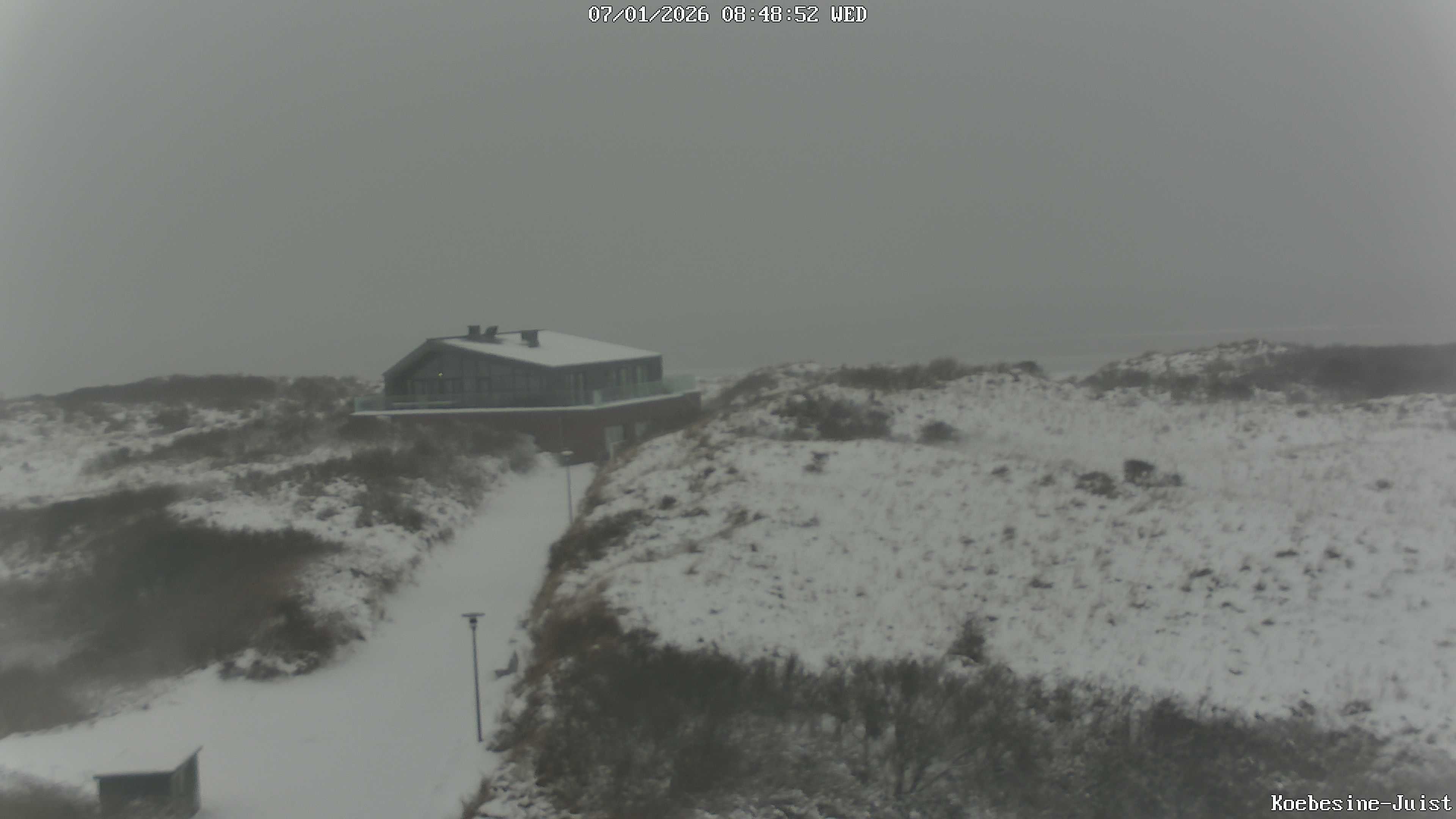 Archiv Foto Webcam Haus Köbesine auf Juist: Blick zum Strand