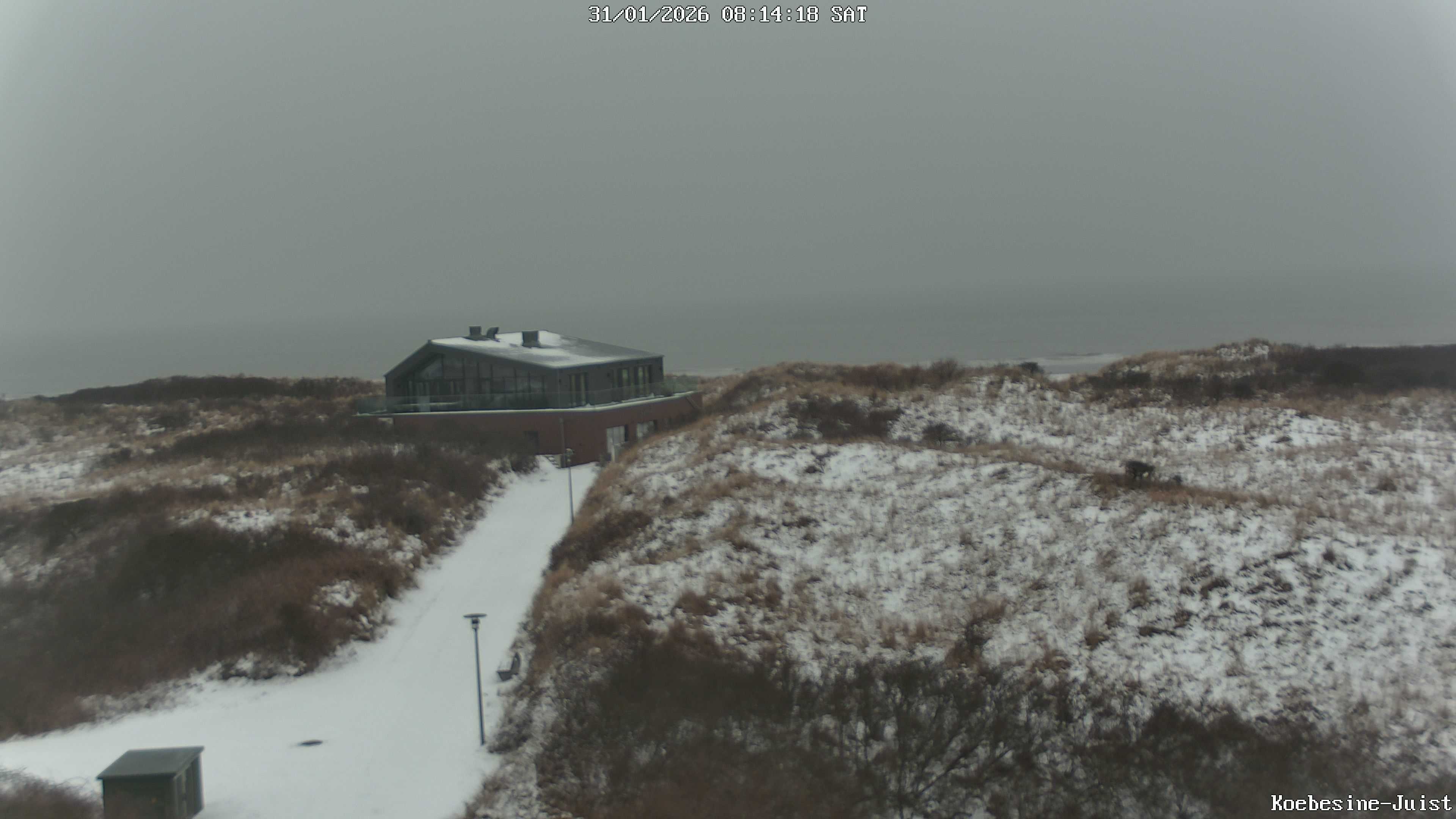 Archiv Foto Webcam Haus Köbesine auf Juist: Blick zum Strand