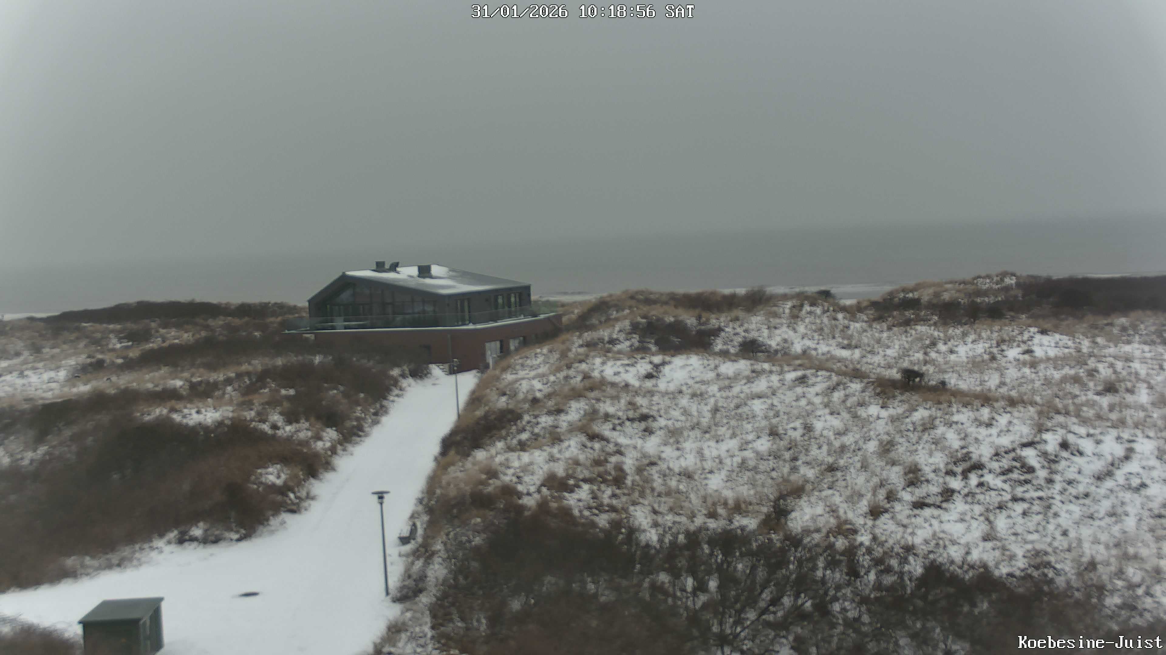 Archiv Foto Webcam Haus Köbesine auf Juist: Blick zum Strand