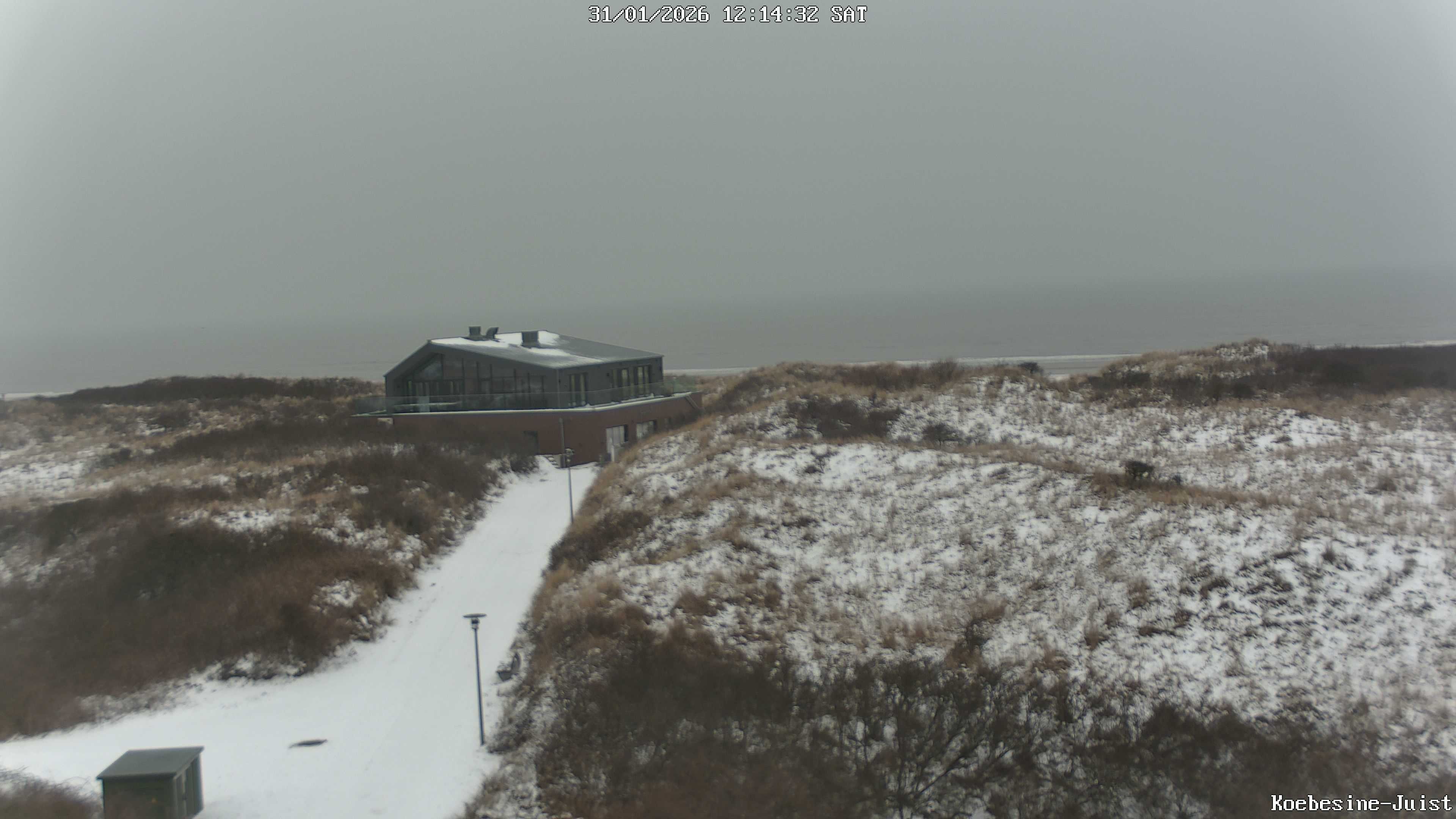 Archiv Foto Webcam Haus Köbesine auf Juist: Blick zum Strand