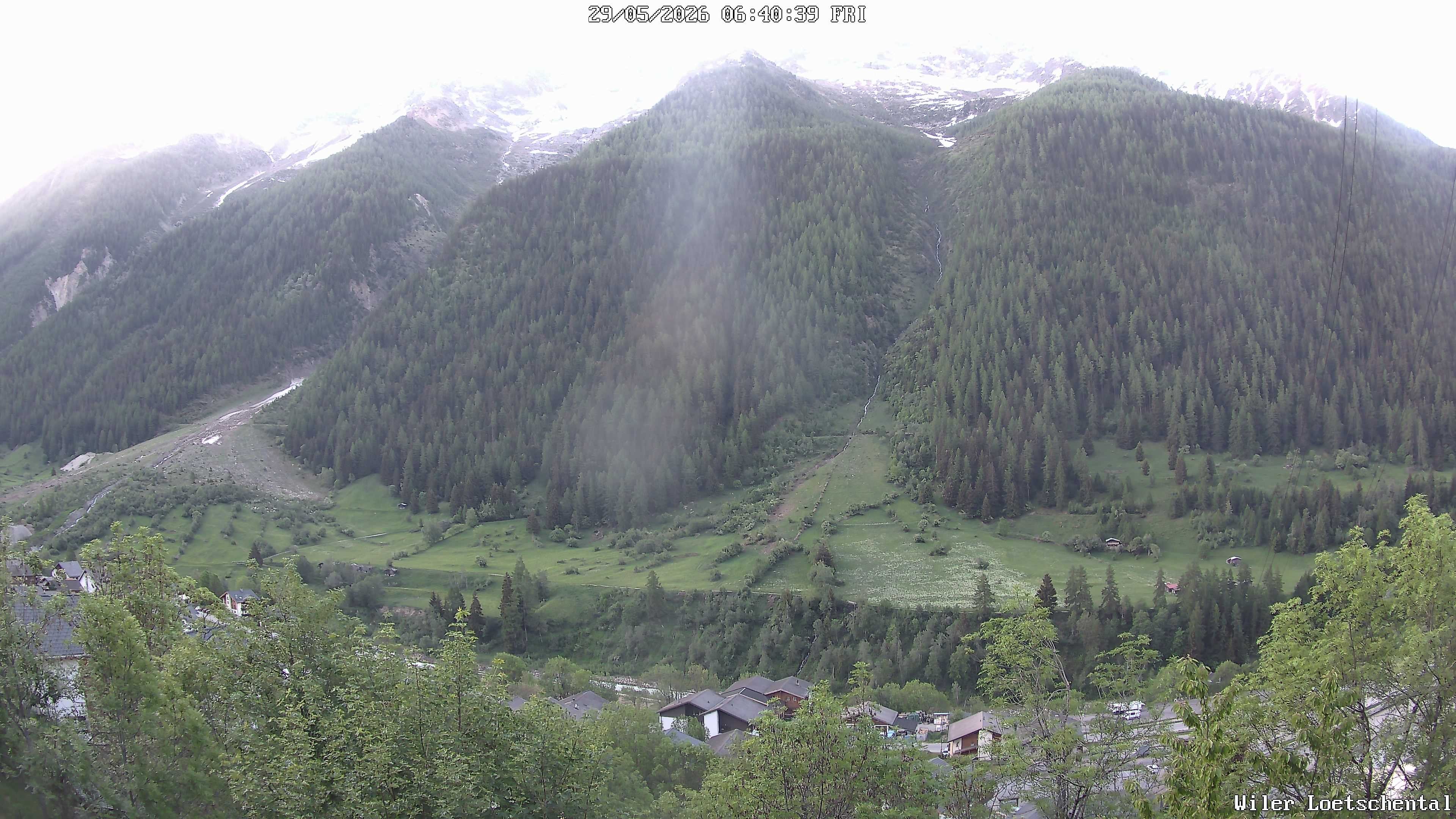 Archiv Foto Webcam Lötschental: Blick auf Wilerhorn und Bietschhorn