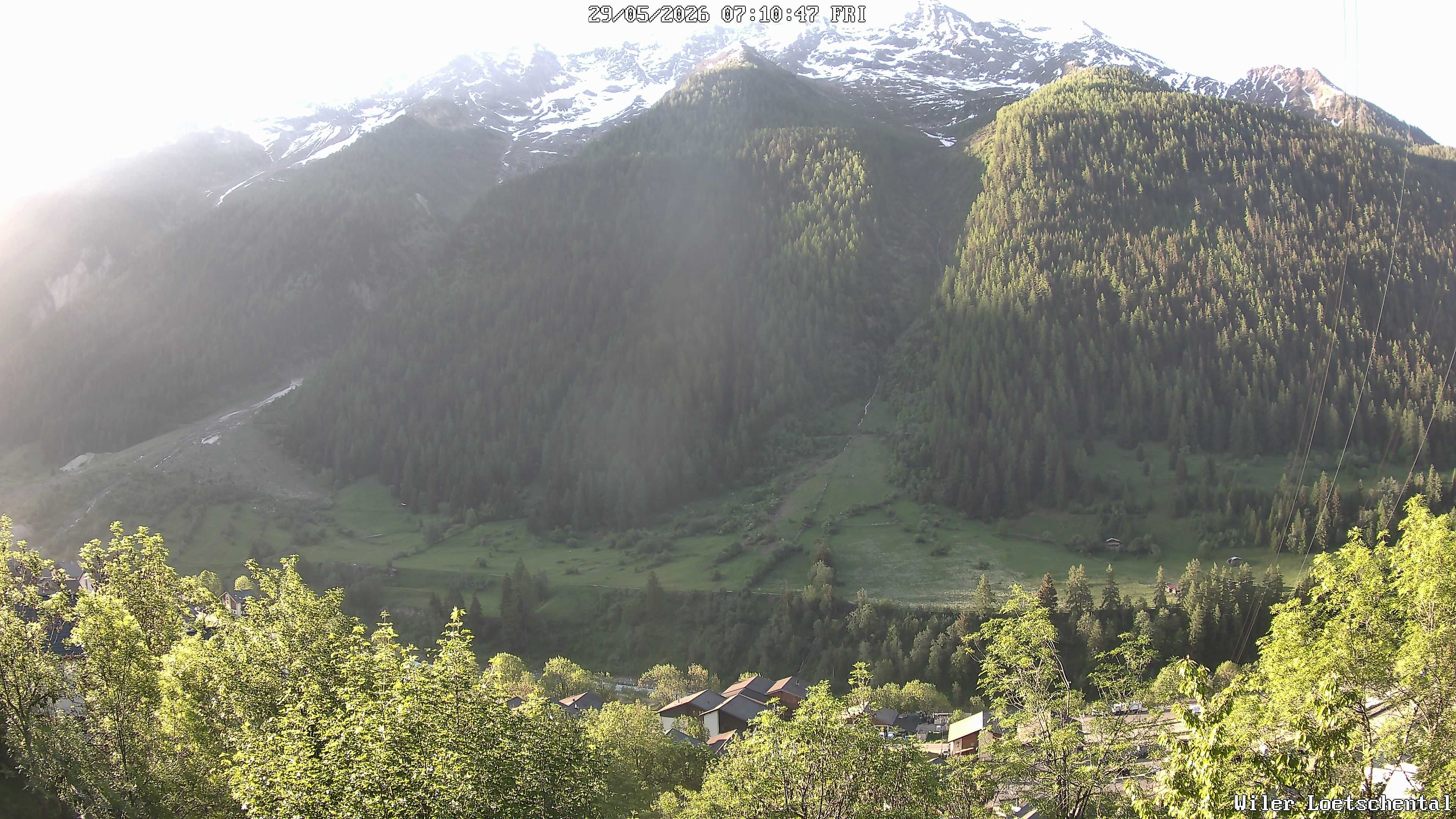 Archiv Foto Webcam Lötschental: Blick auf Wilerhorn und Bietschhorn