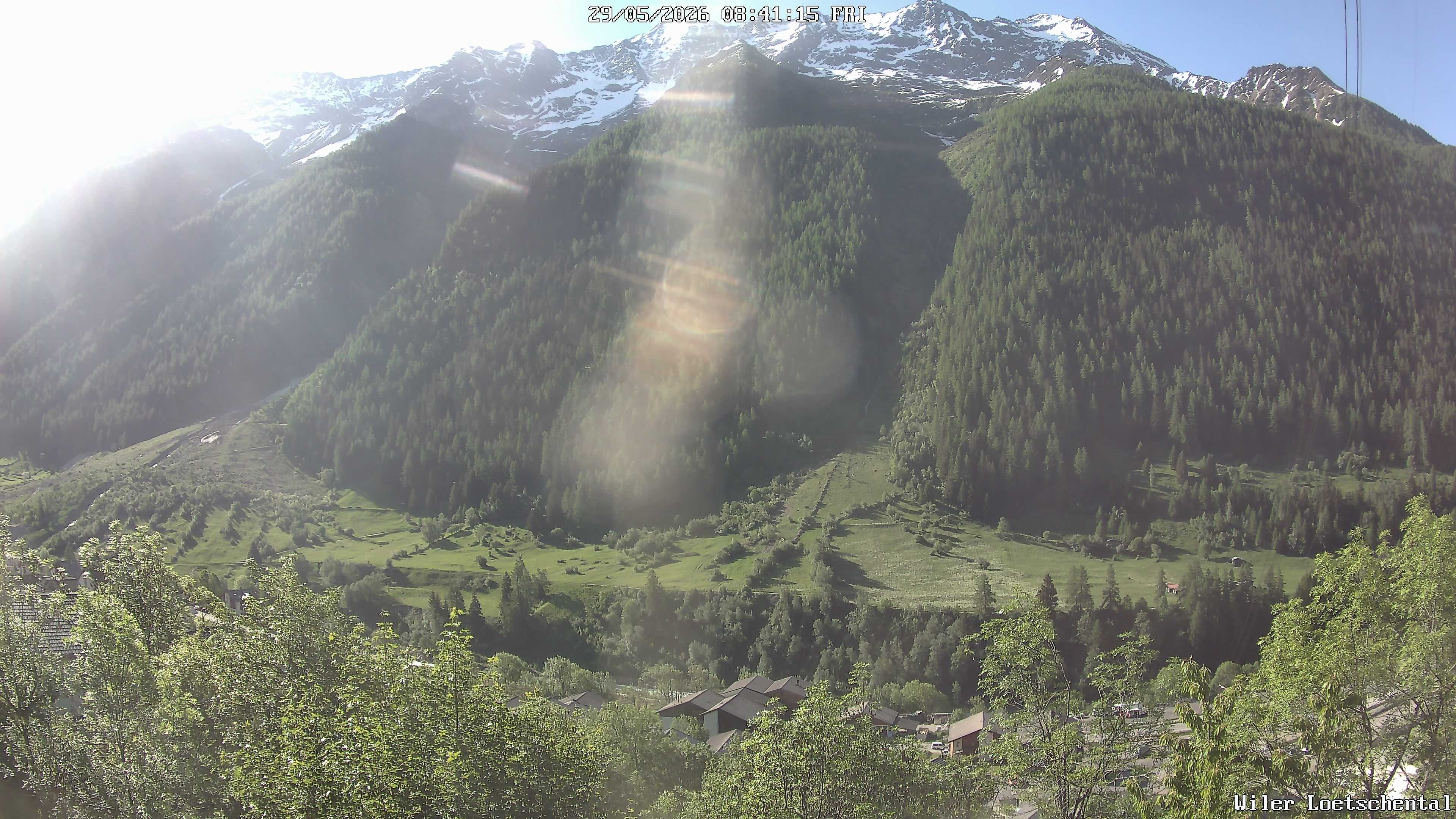Archiv Foto Webcam Lötschental: Blick auf Wilerhorn und Bietschhorn