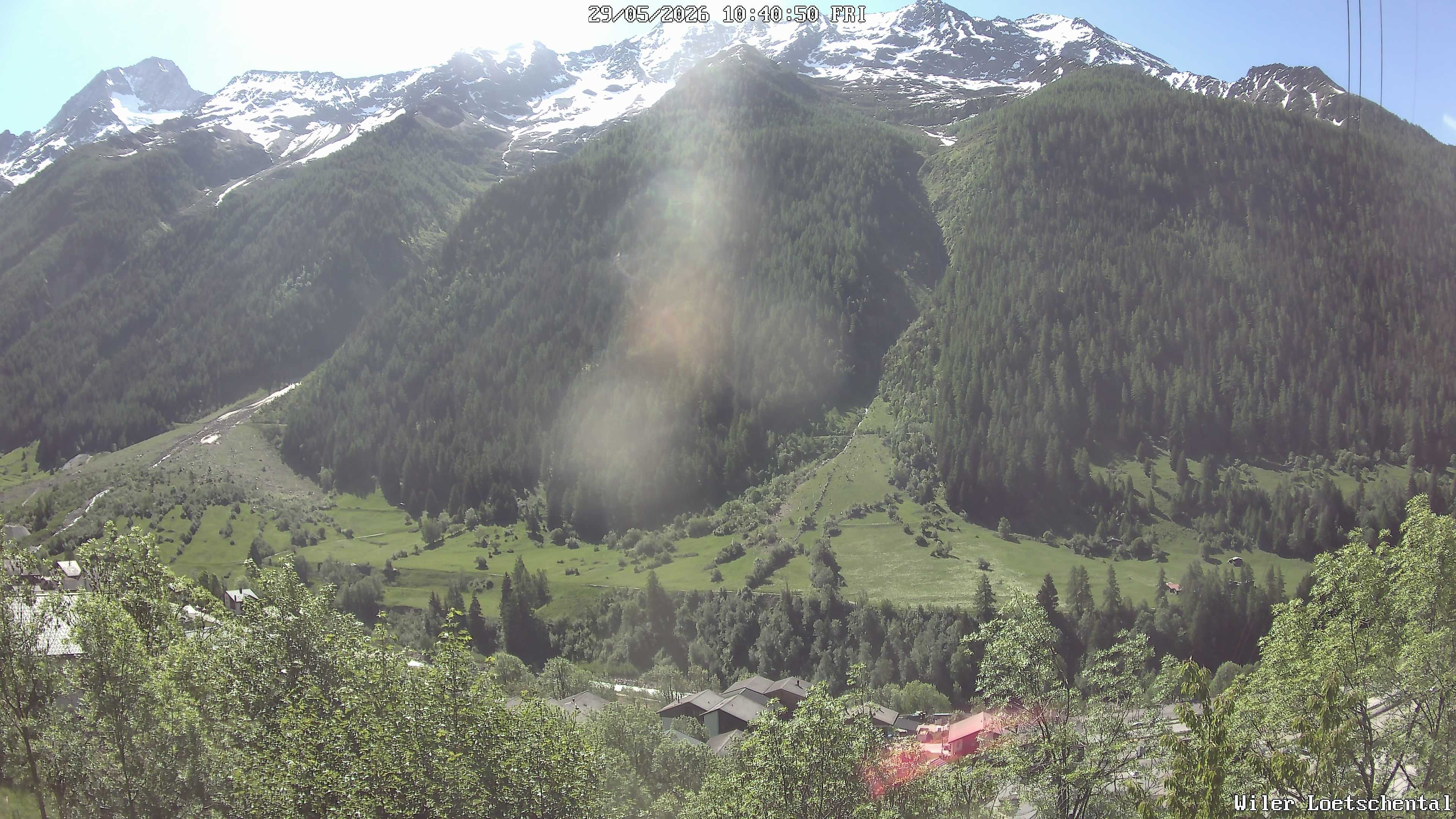 Archiv Foto Webcam Lötschental: Blick auf Wilerhorn und Bietschhorn