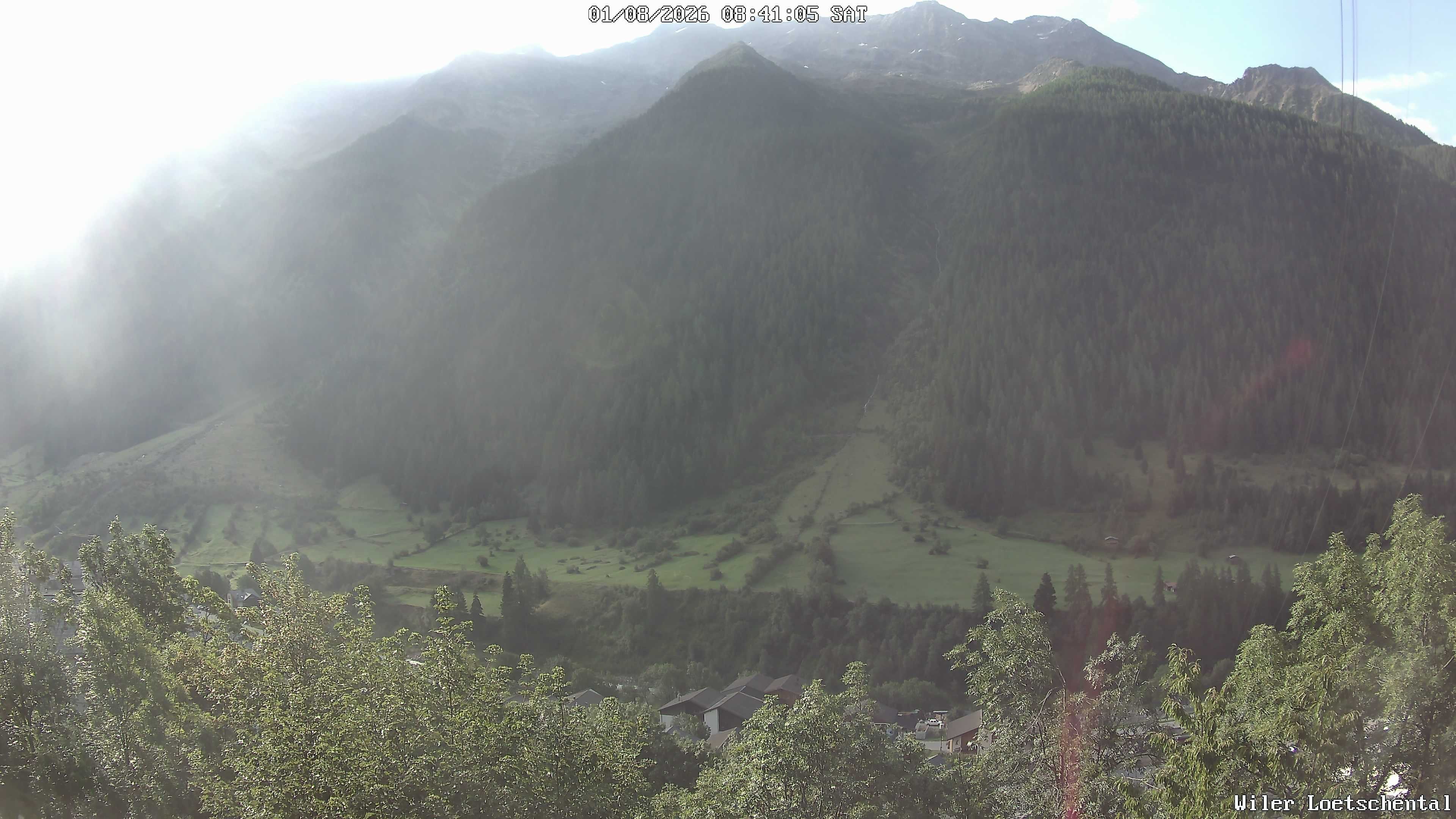 Archived image Webcam Lötschental Valley - View Wiler and Bietschhorn