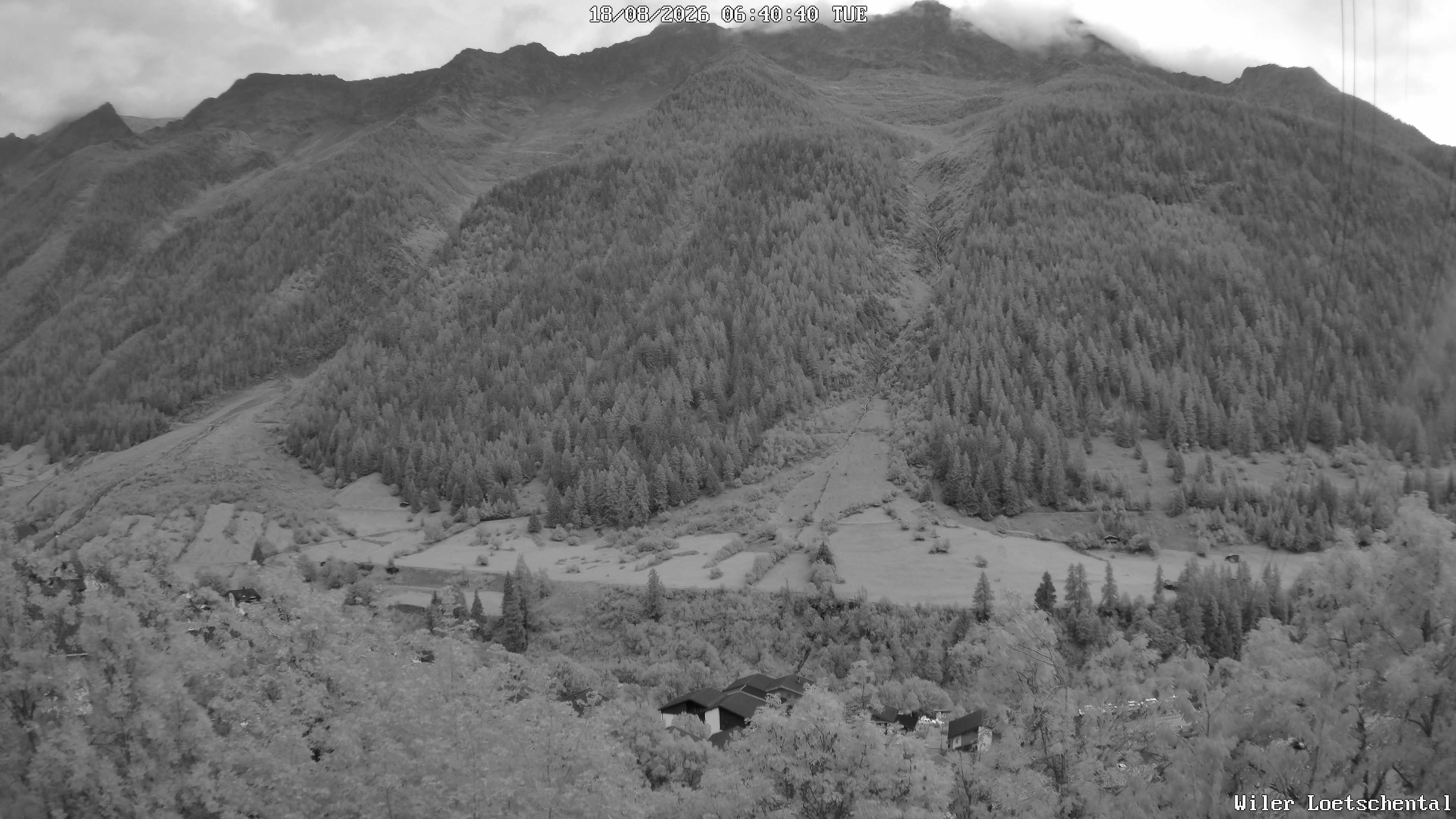 Archiv Foto Webcam Lötschental: Blick auf Wilerhorn und Bietschhorn