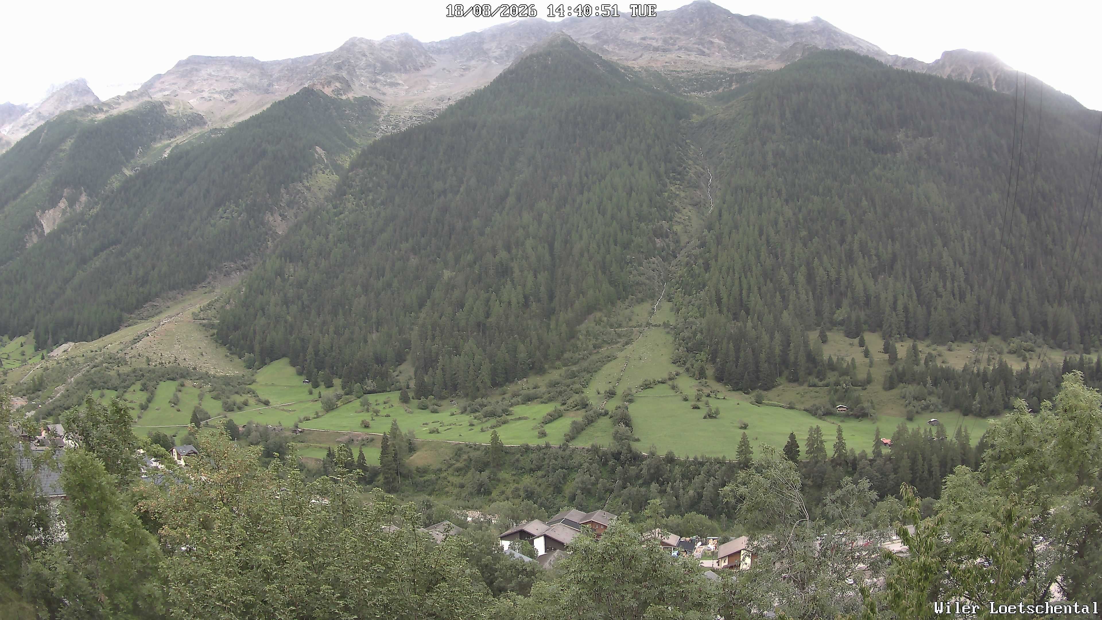 Archiv Foto Webcam Lötschental: Blick auf Wilerhorn und Bietschhorn