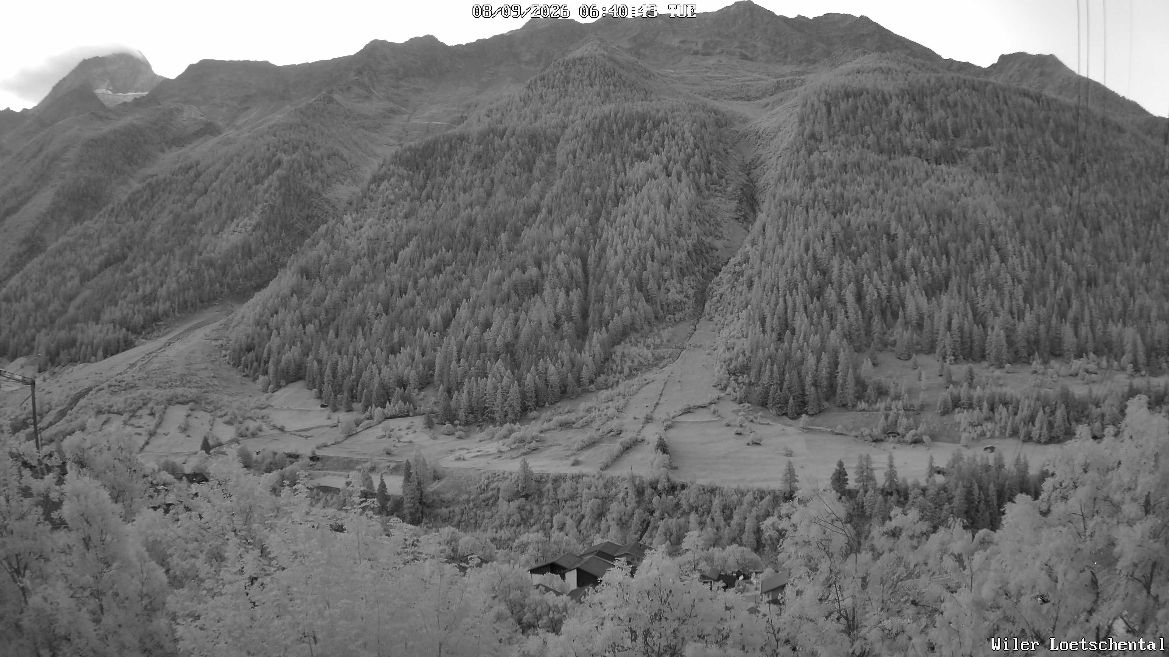 Archiv Foto Webcam Lötschental: Blick auf Wilerhorn und Bietschhorn