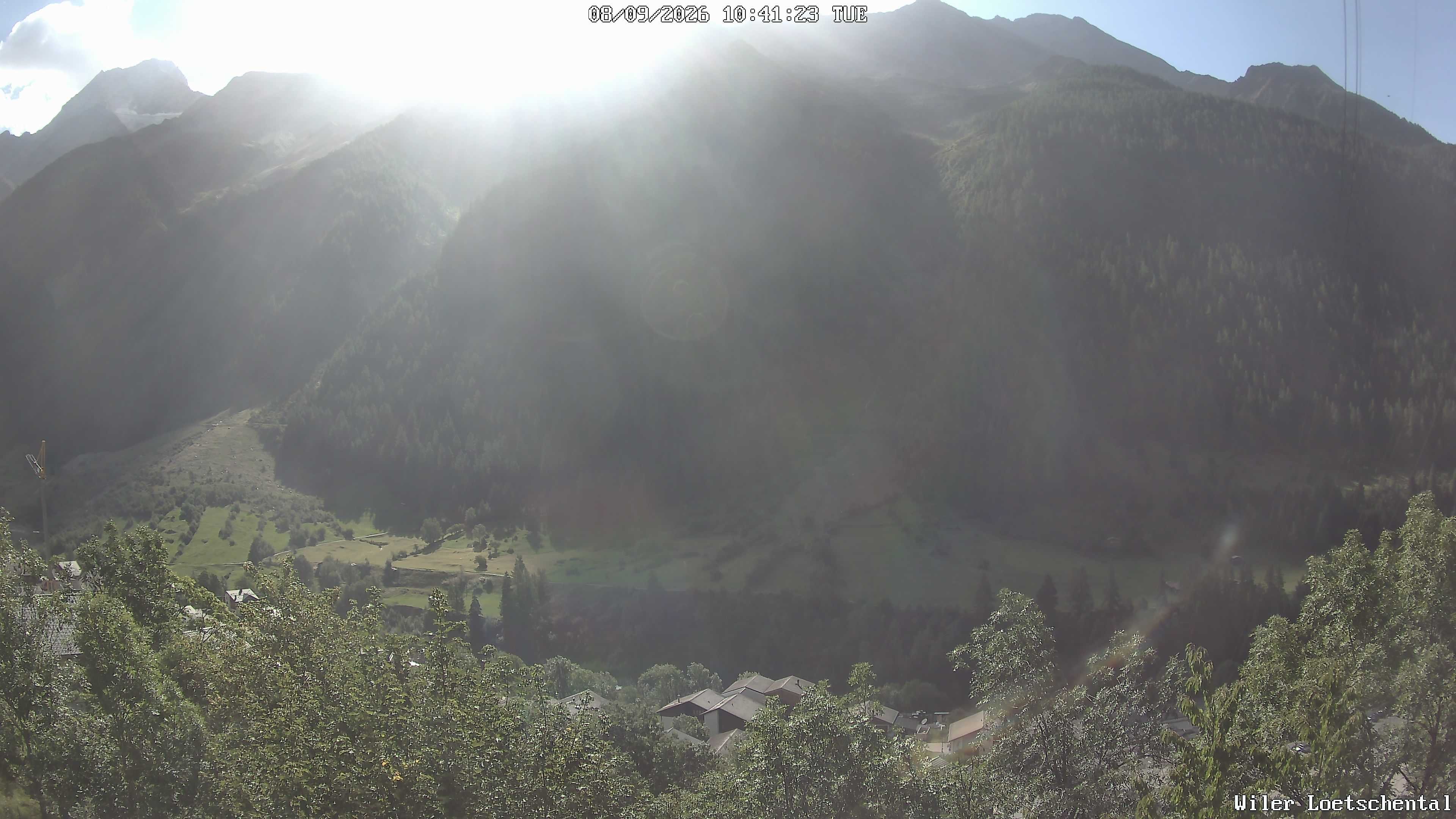 Archiv Foto Webcam Lötschental: Blick auf Wilerhorn und Bietschhorn