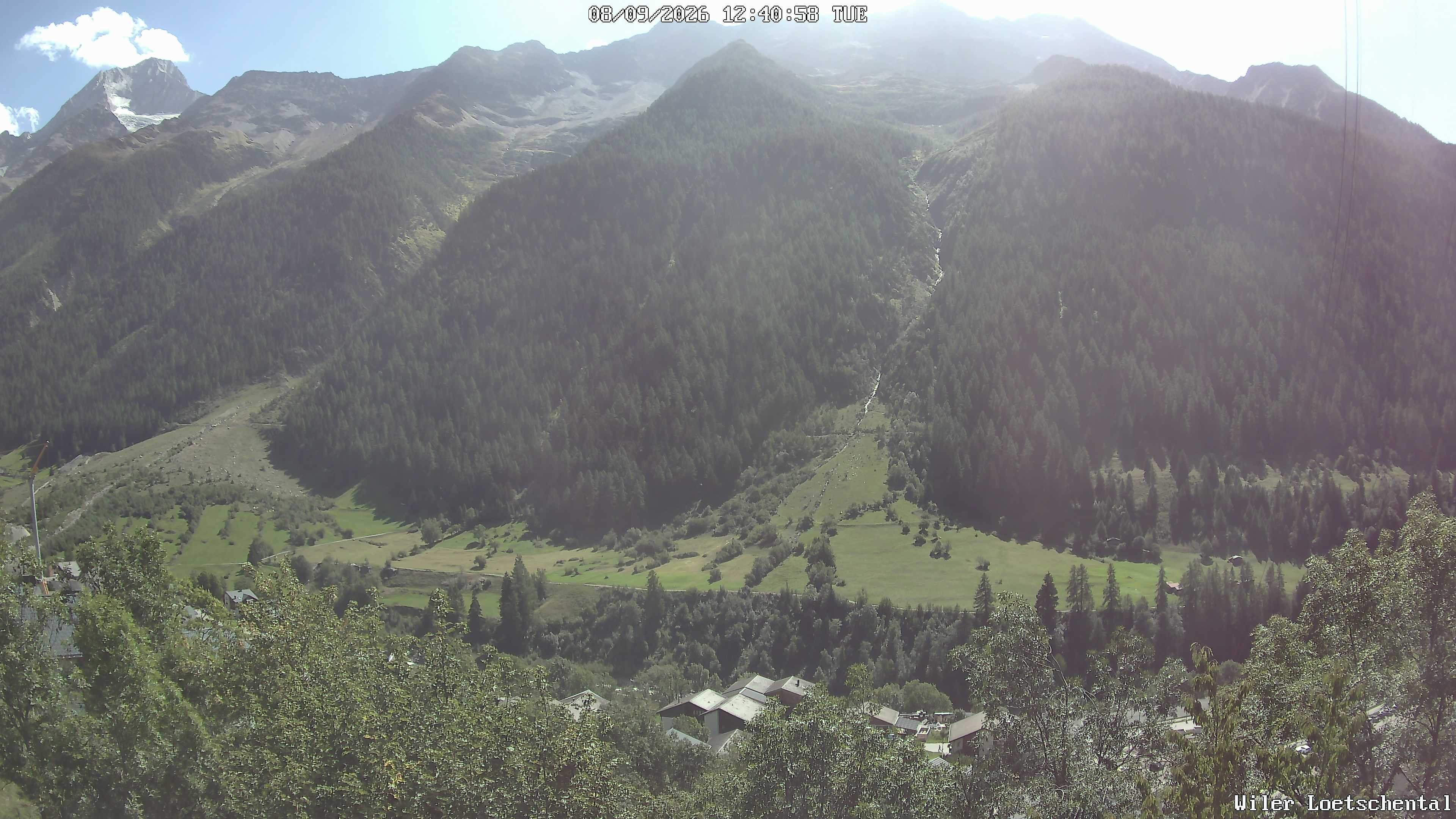 Archiv Foto Webcam Lötschental: Blick auf Wilerhorn und Bietschhorn