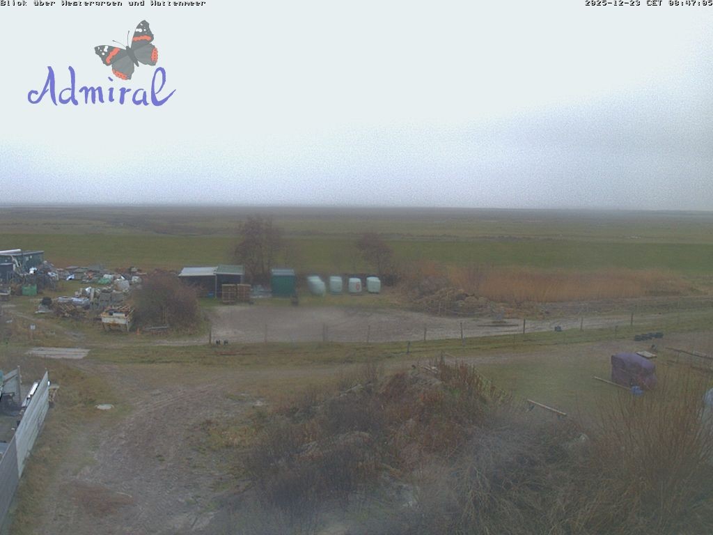 Archiv Foto Webcam Spiekeroog: Haus Admiral