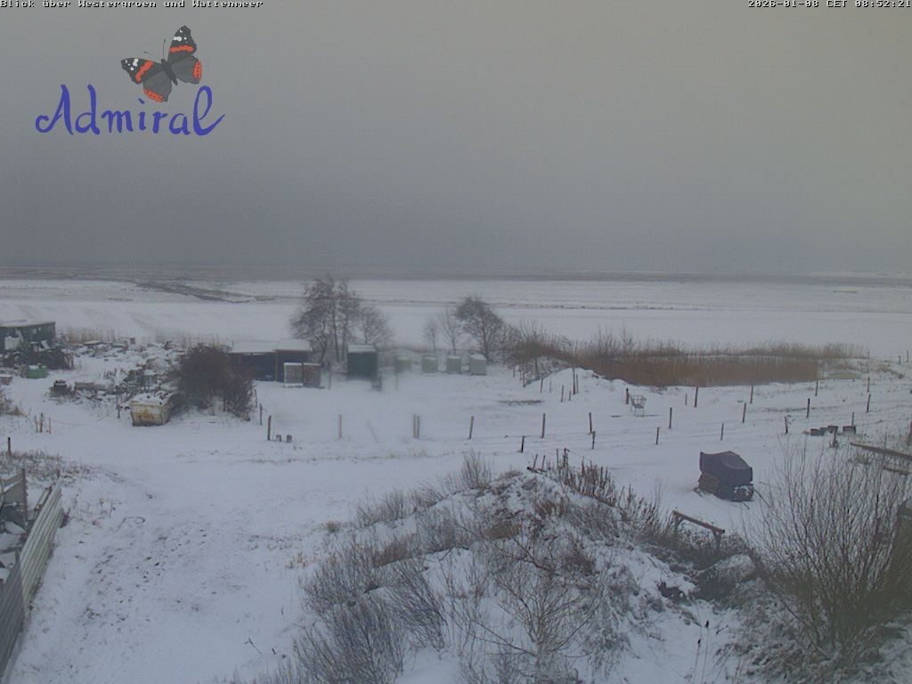 Archiv Foto Webcam Spiekeroog: Haus Admiral