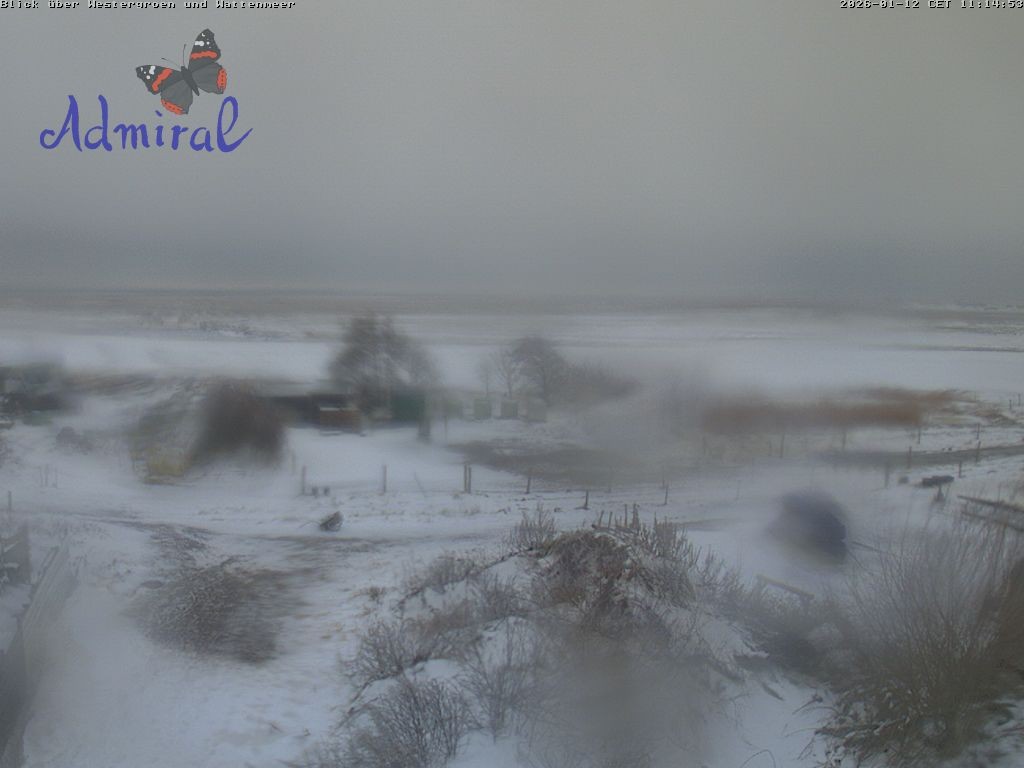 Archiv Foto Webcam Spiekeroog: Haus Admiral