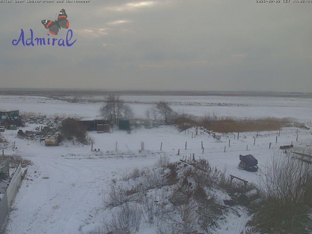 Archiv Foto Webcam Spiekeroog: Haus Admiral