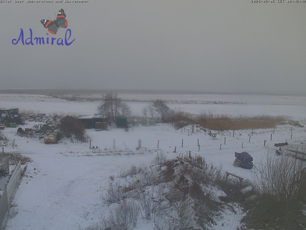 Archiv Foto Webcam Spiekeroog: Haus Admiral