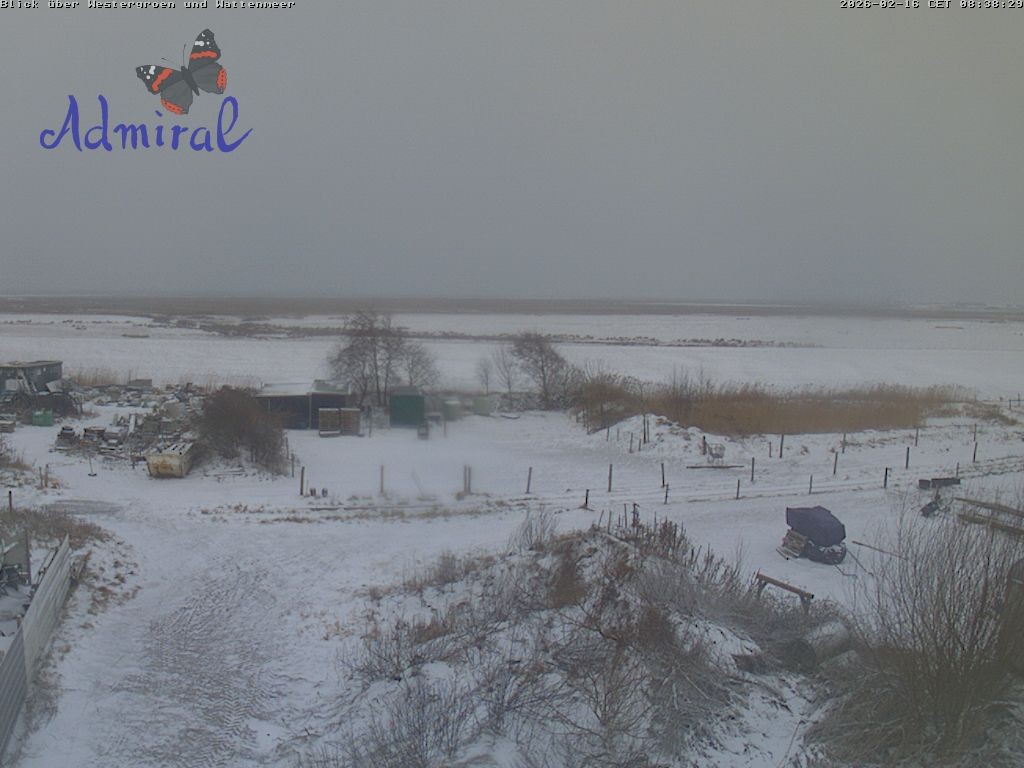 Archived image Webcam Spiekeroog: House Admiral