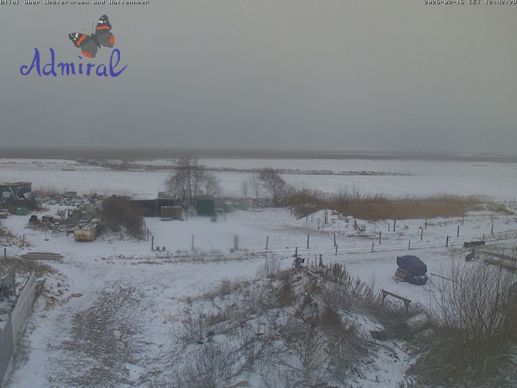 Archived image Webcam Spiekeroog: House Admiral