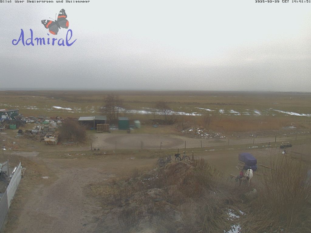 Archiv Foto Webcam Spiekeroog: Haus Admiral