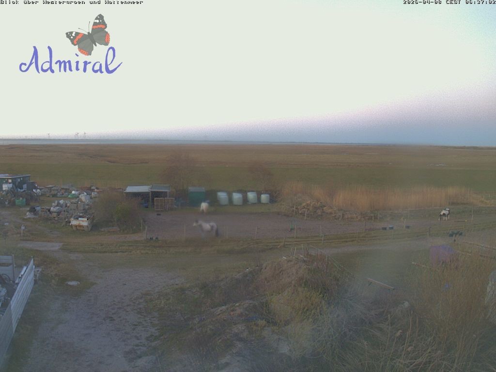 Archiv Foto Webcam Spiekeroog: Haus Admiral