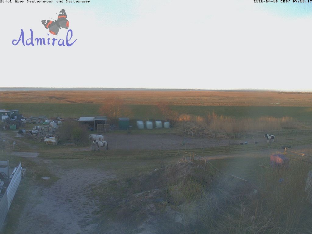 Archiv Foto Webcam Spiekeroog: Haus Admiral