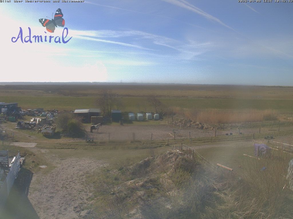 Archiv Foto Webcam Spiekeroog: Haus Admiral