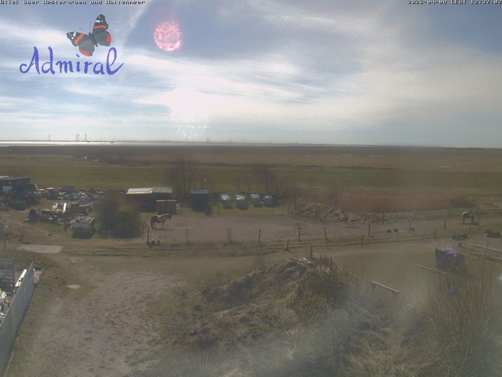 Archiv Foto Webcam Spiekeroog: Haus Admiral