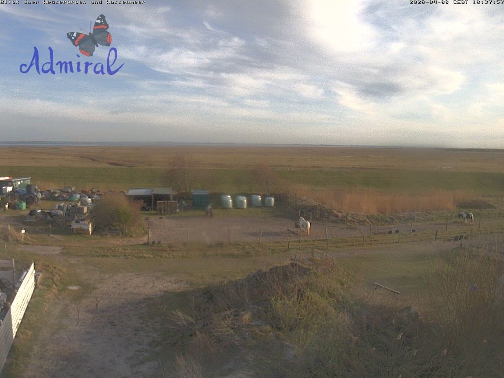 Archiv Foto Webcam Spiekeroog: Haus Admiral