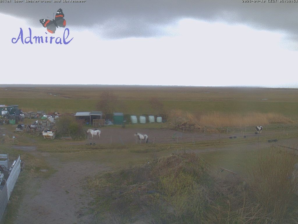 Archiv Foto Webcam Spiekeroog: Haus Admiral