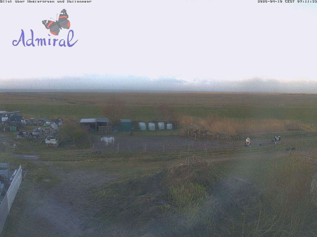 Archiv Foto Webcam Spiekeroog: Haus Admiral