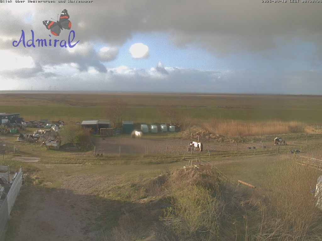 Archiv Foto Webcam Spiekeroog: Haus Admiral