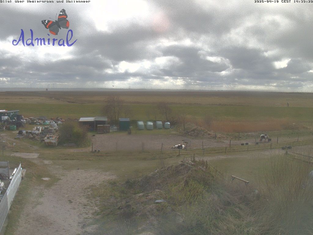 Archiv Foto Webcam Spiekeroog: Haus Admiral