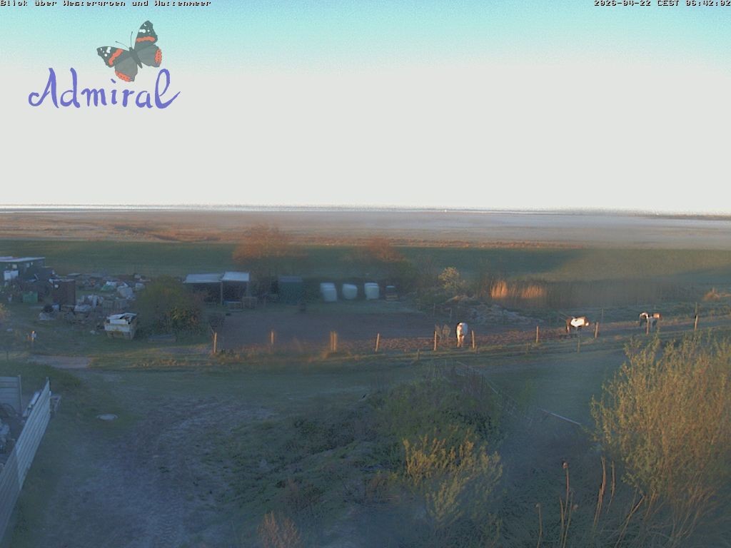 Archiv Foto Webcam Spiekeroog: Haus Admiral