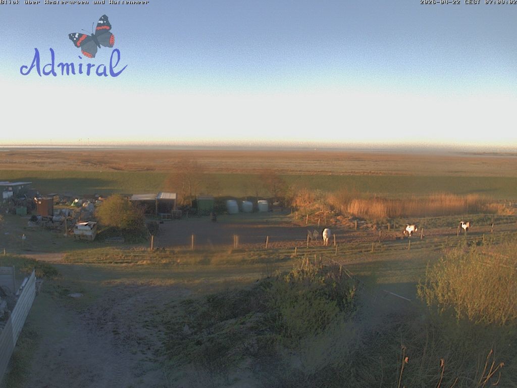 Archiv Foto Webcam Spiekeroog: Haus Admiral